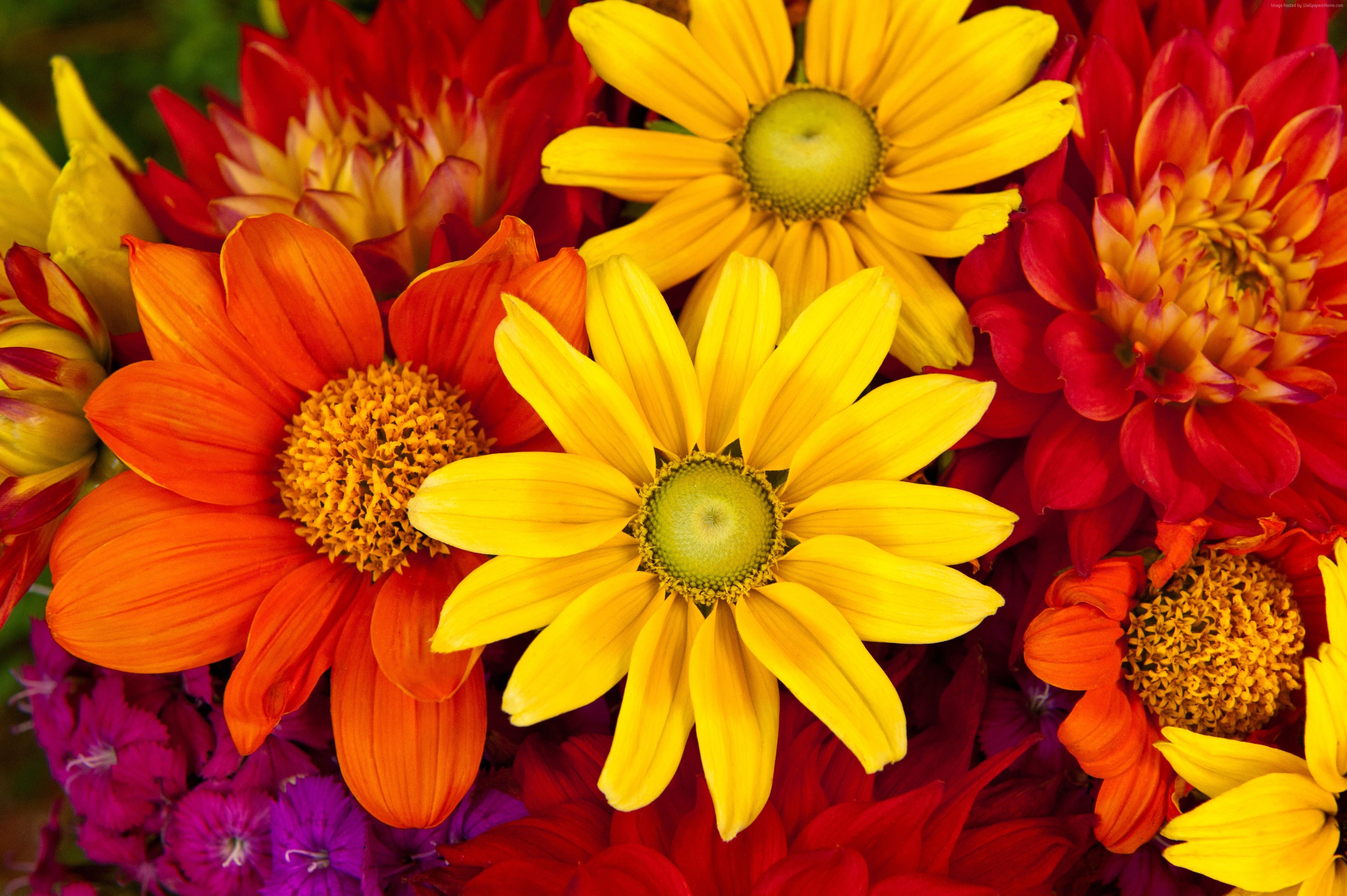 Fall Floral Desktop Wallpapers