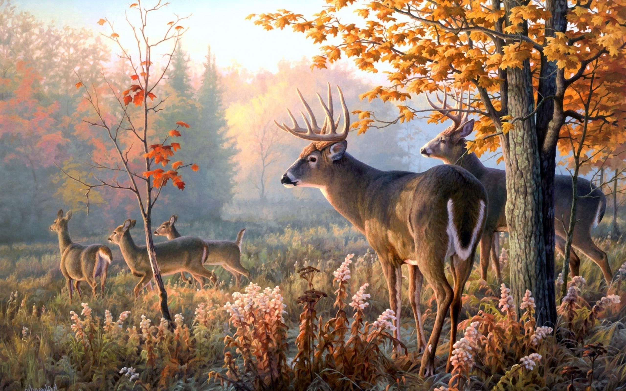 Fall Hunting Wallpapers