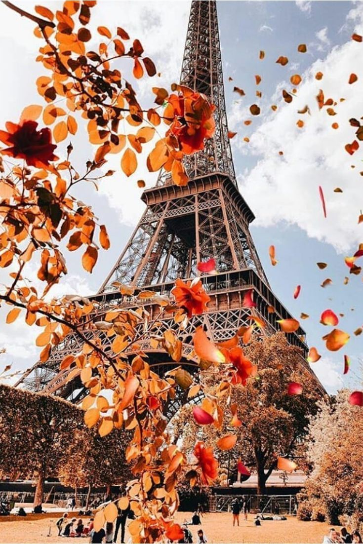 Fall In Paris Wallpapers