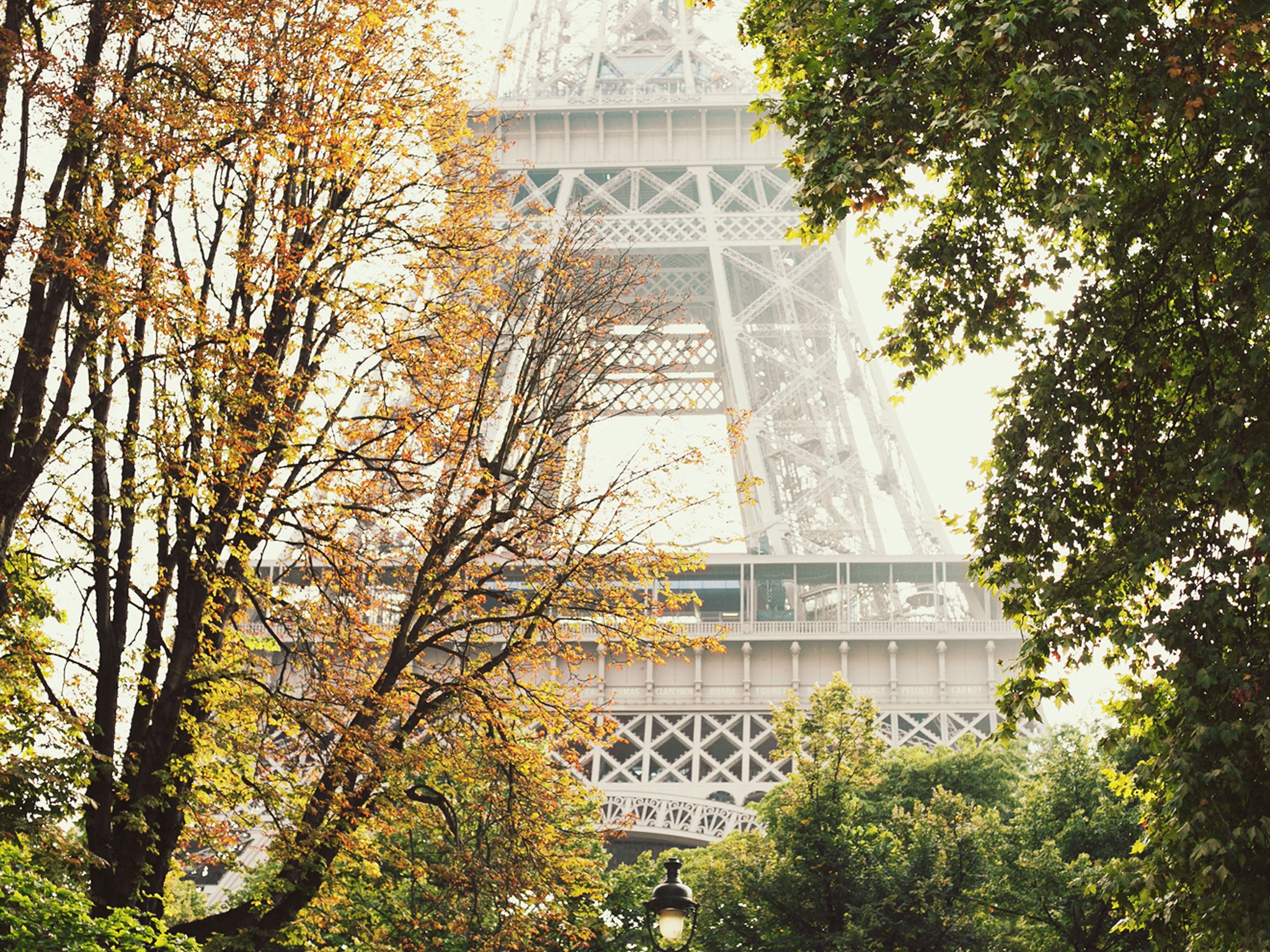 Fall In Paris Wallpapers