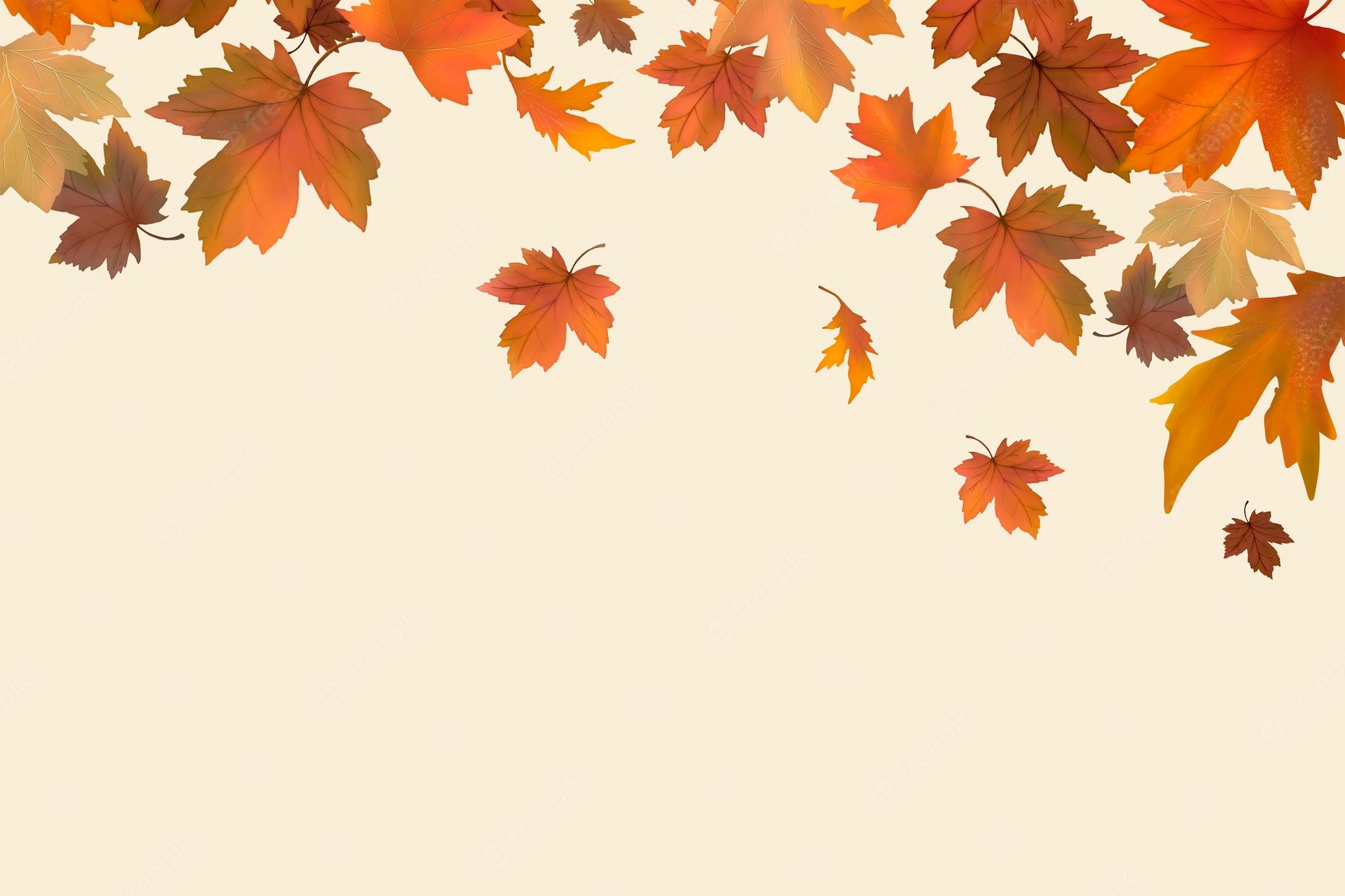 Fall Leaves Wallpapers