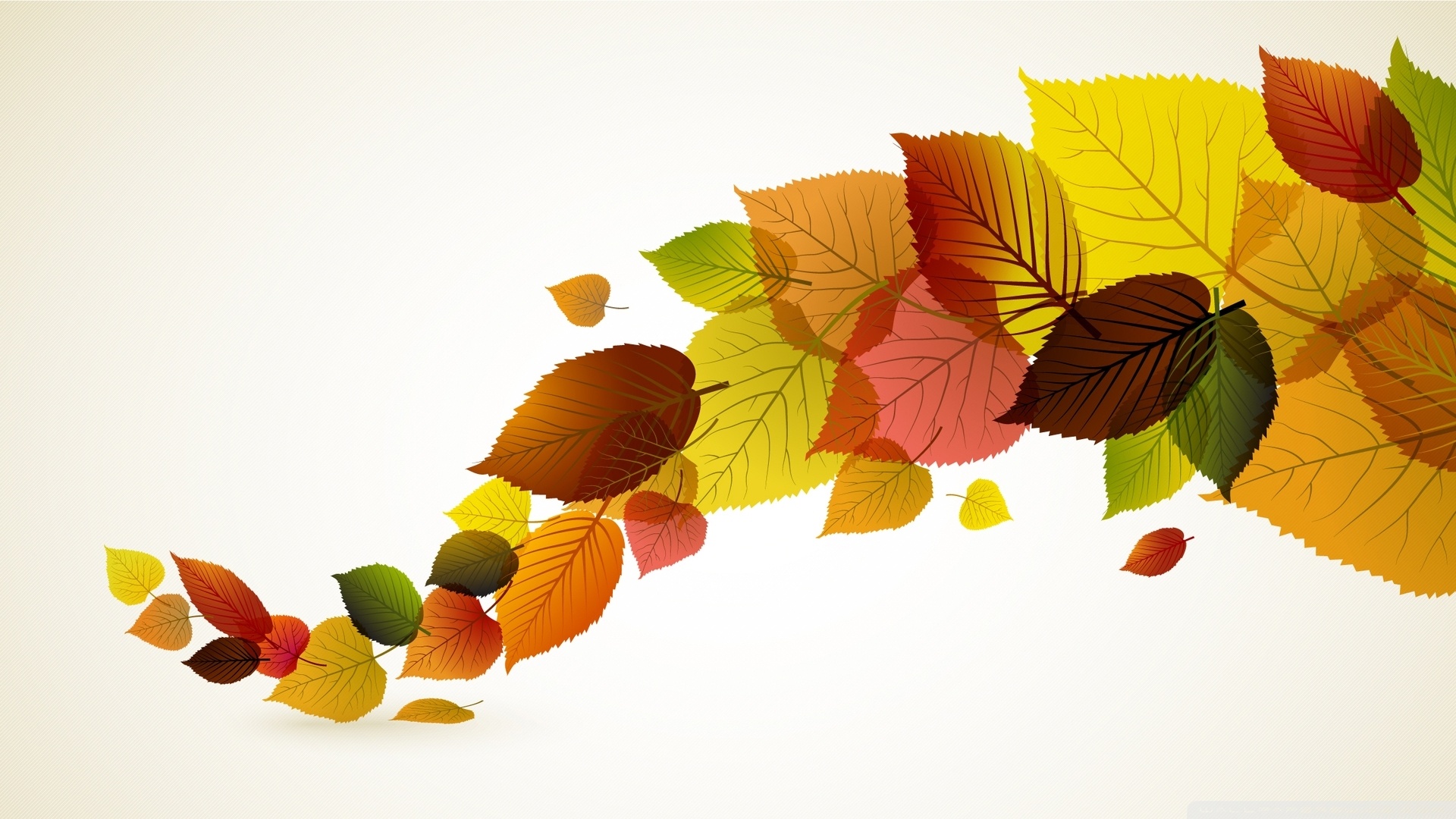 Fall Leaves Hd Wallpapers