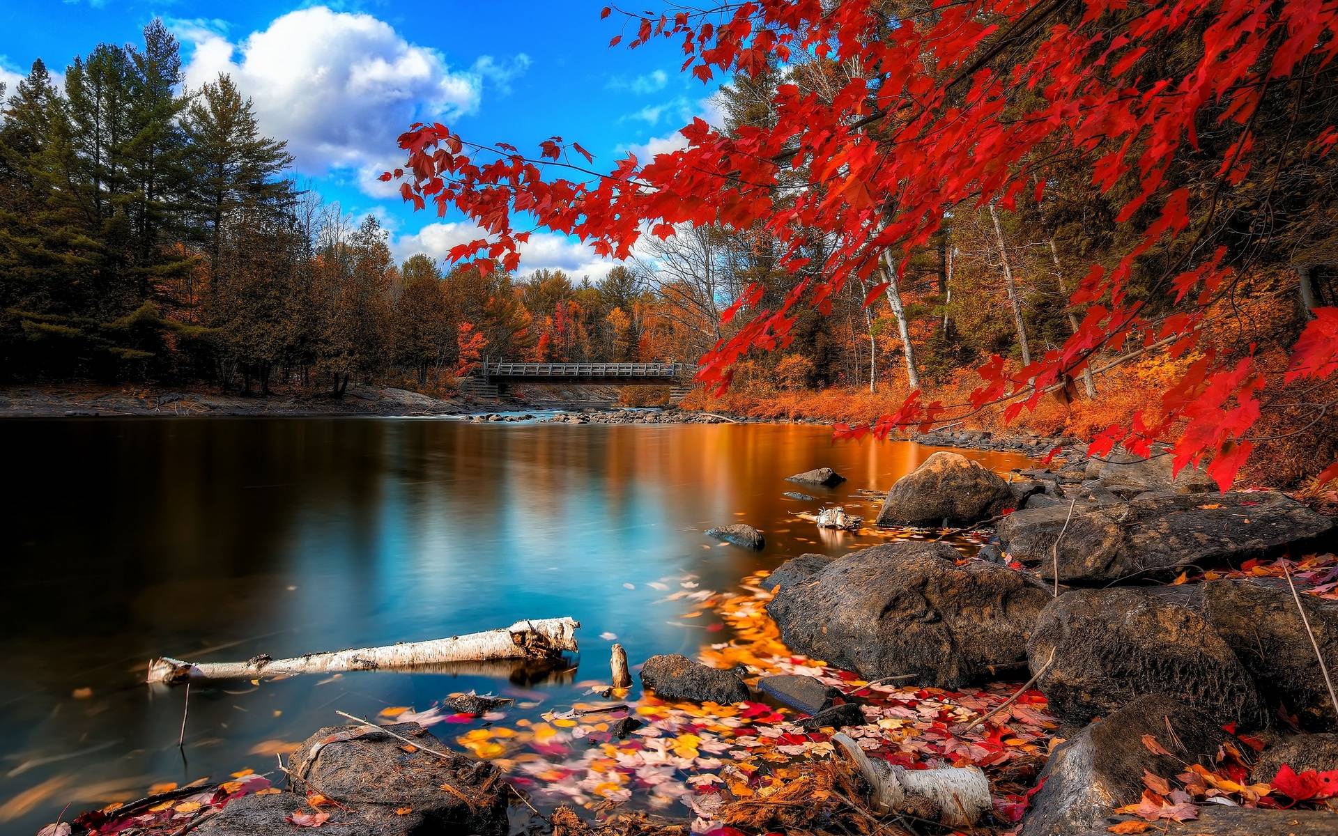 Fall Nature Pictures Wallpapers