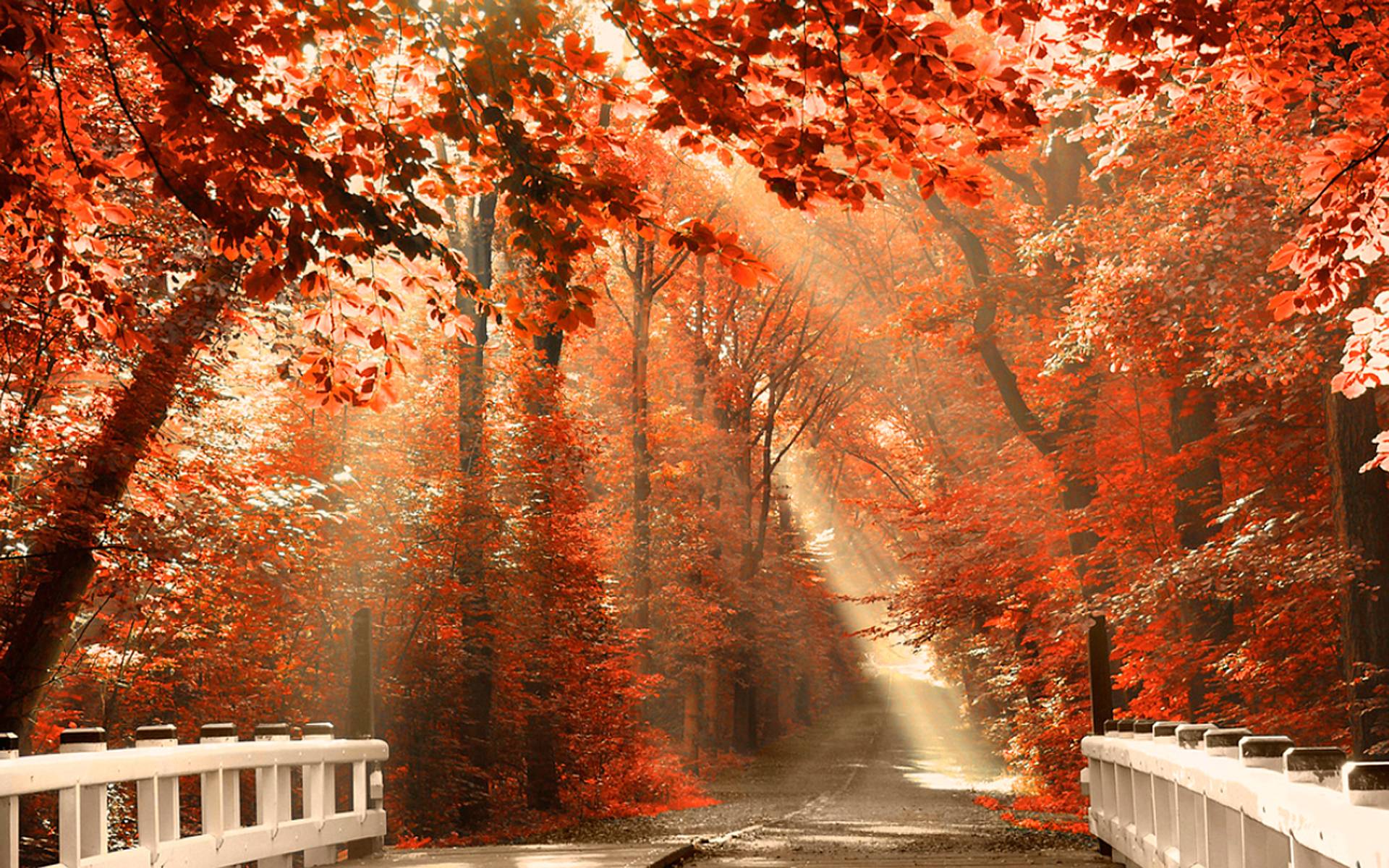 Fall Nature Pictures Wallpapers