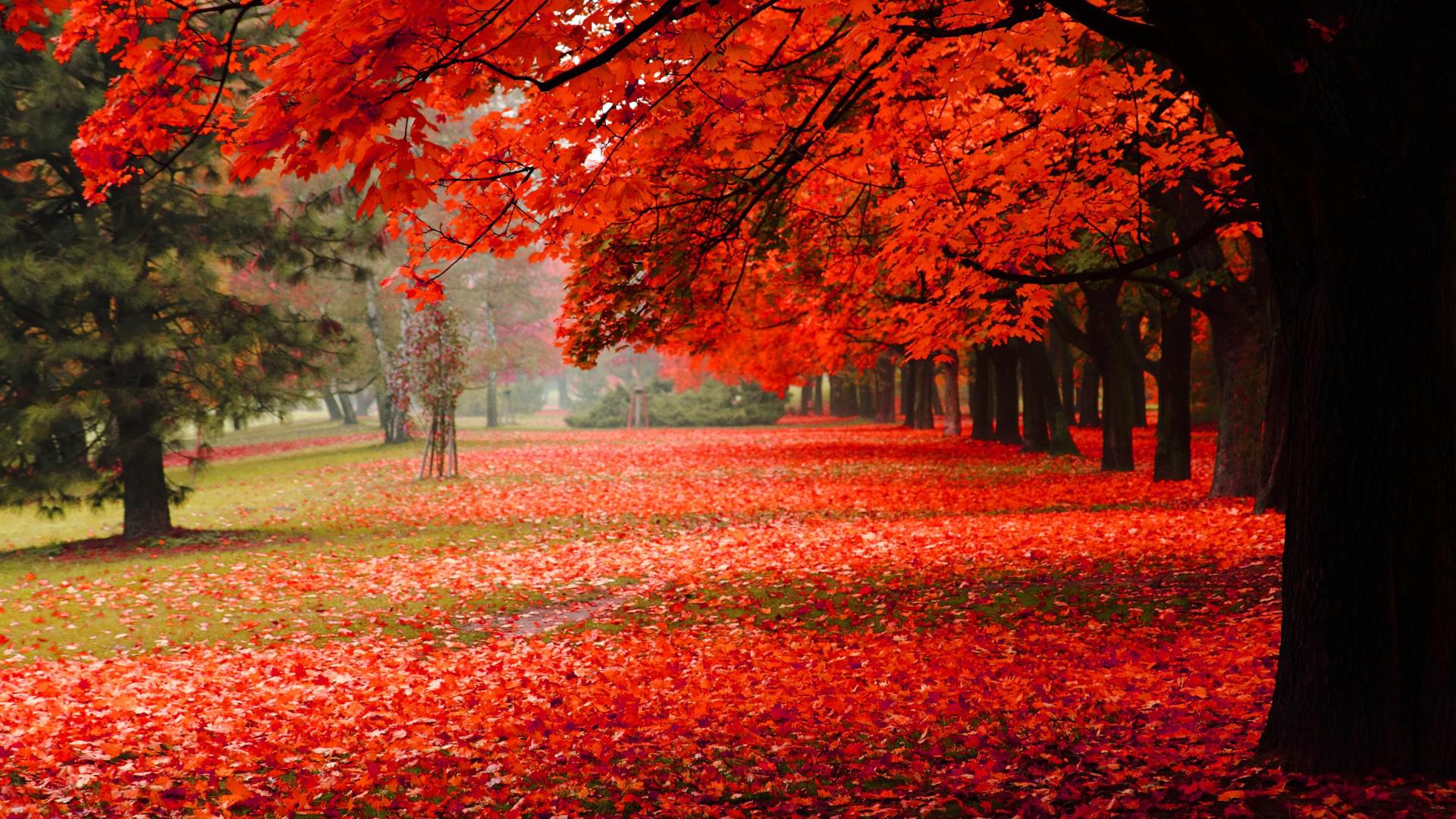 Fall Nature Pictures Wallpapers