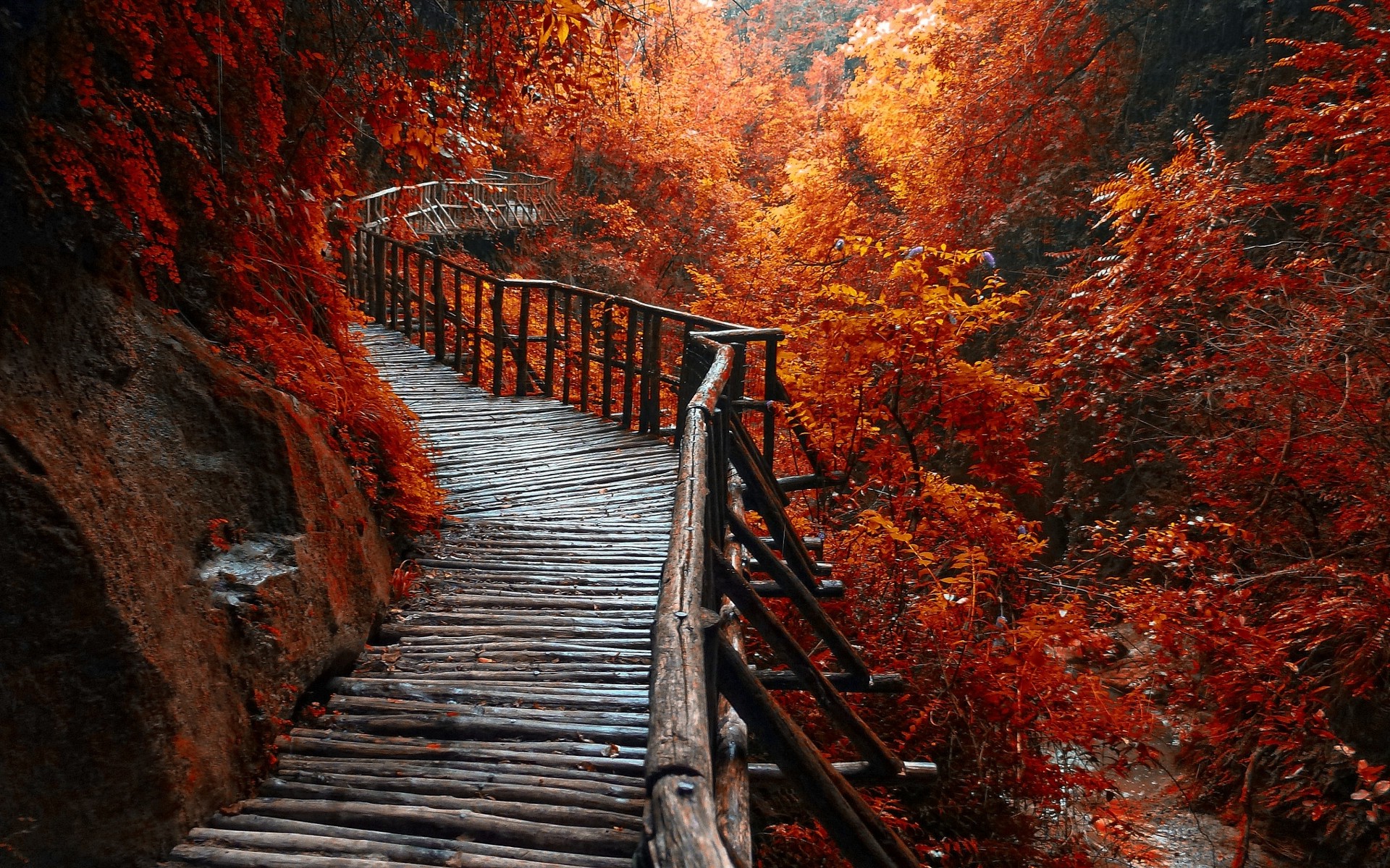 Fall Nature Wallpapers