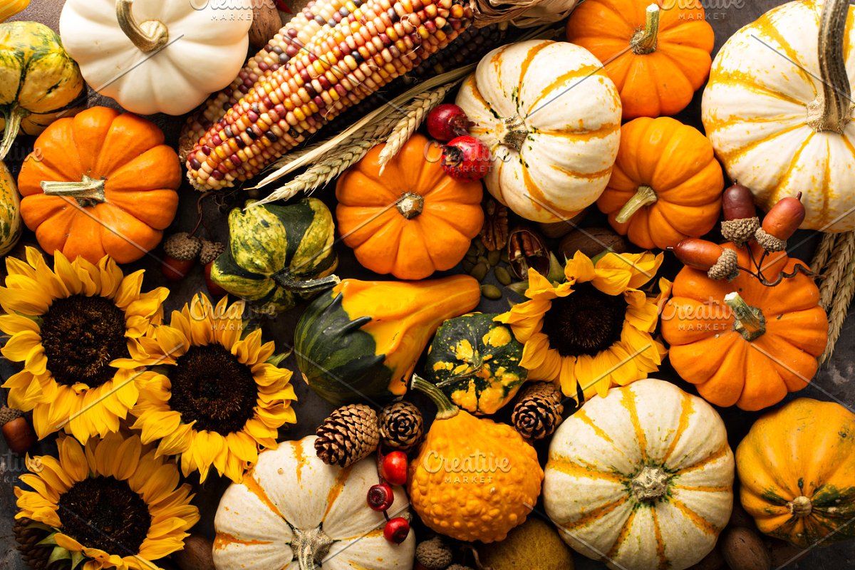 Fall Pictures With Pumpkins And Sunflowers Wallpapers