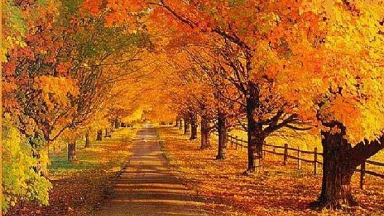 Fall Scenes Wallpapers