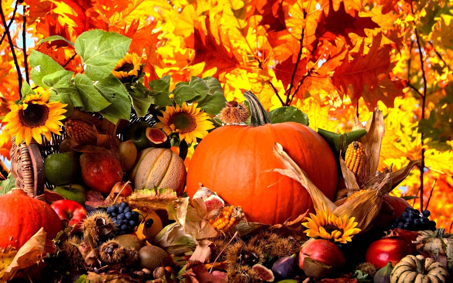 Fall Pumpkins Wallpapers