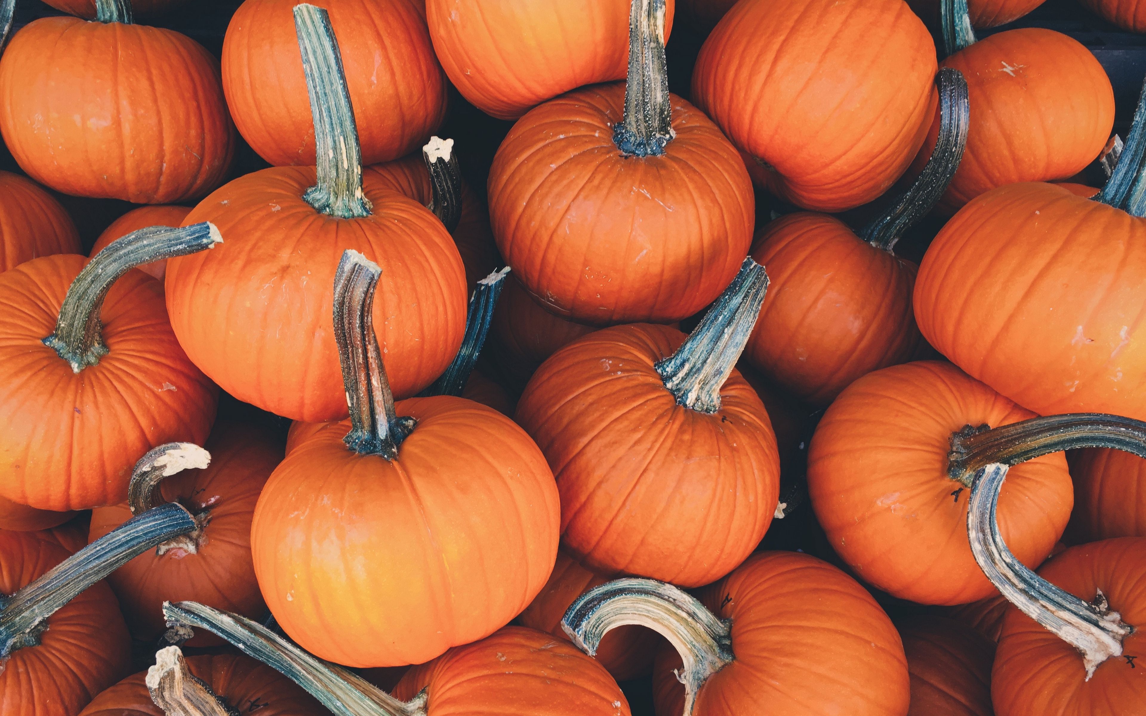 Fall Pumpkins Wallpapers