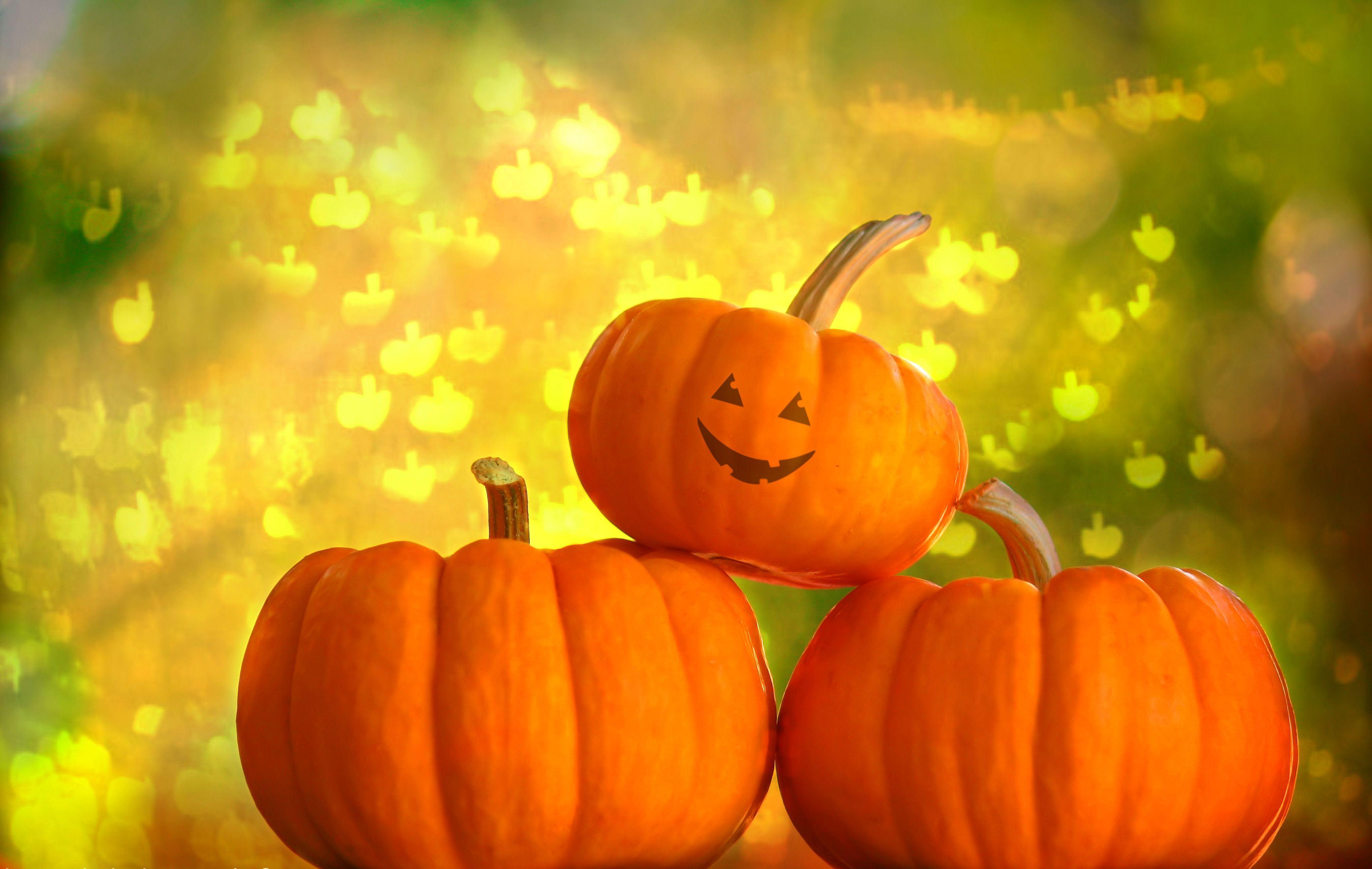 Fall Pumpkins Wallpapers