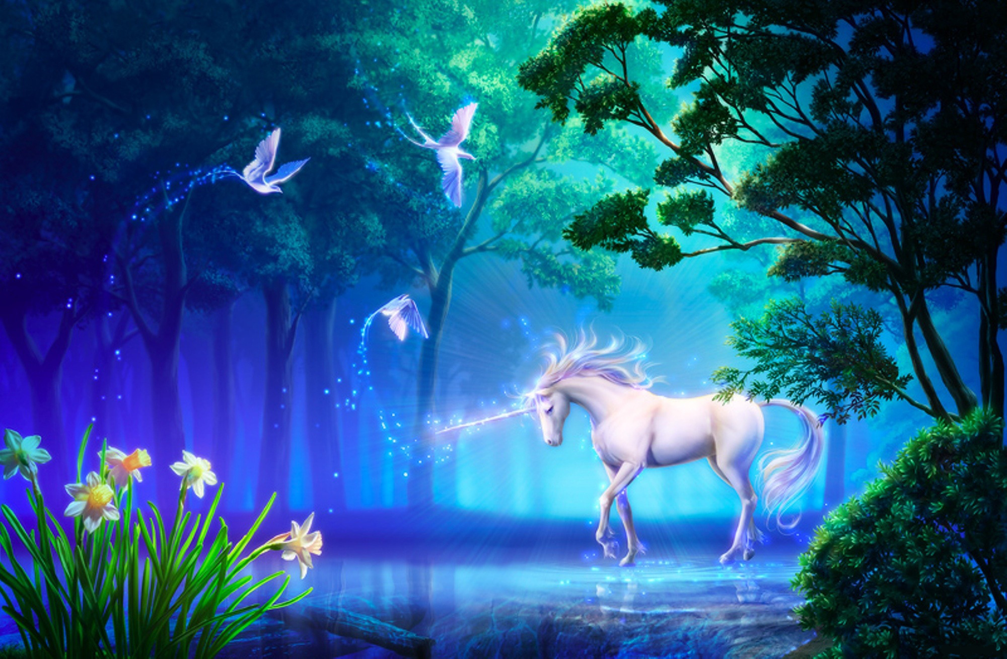 Fantasy Unicorn Wallpapers