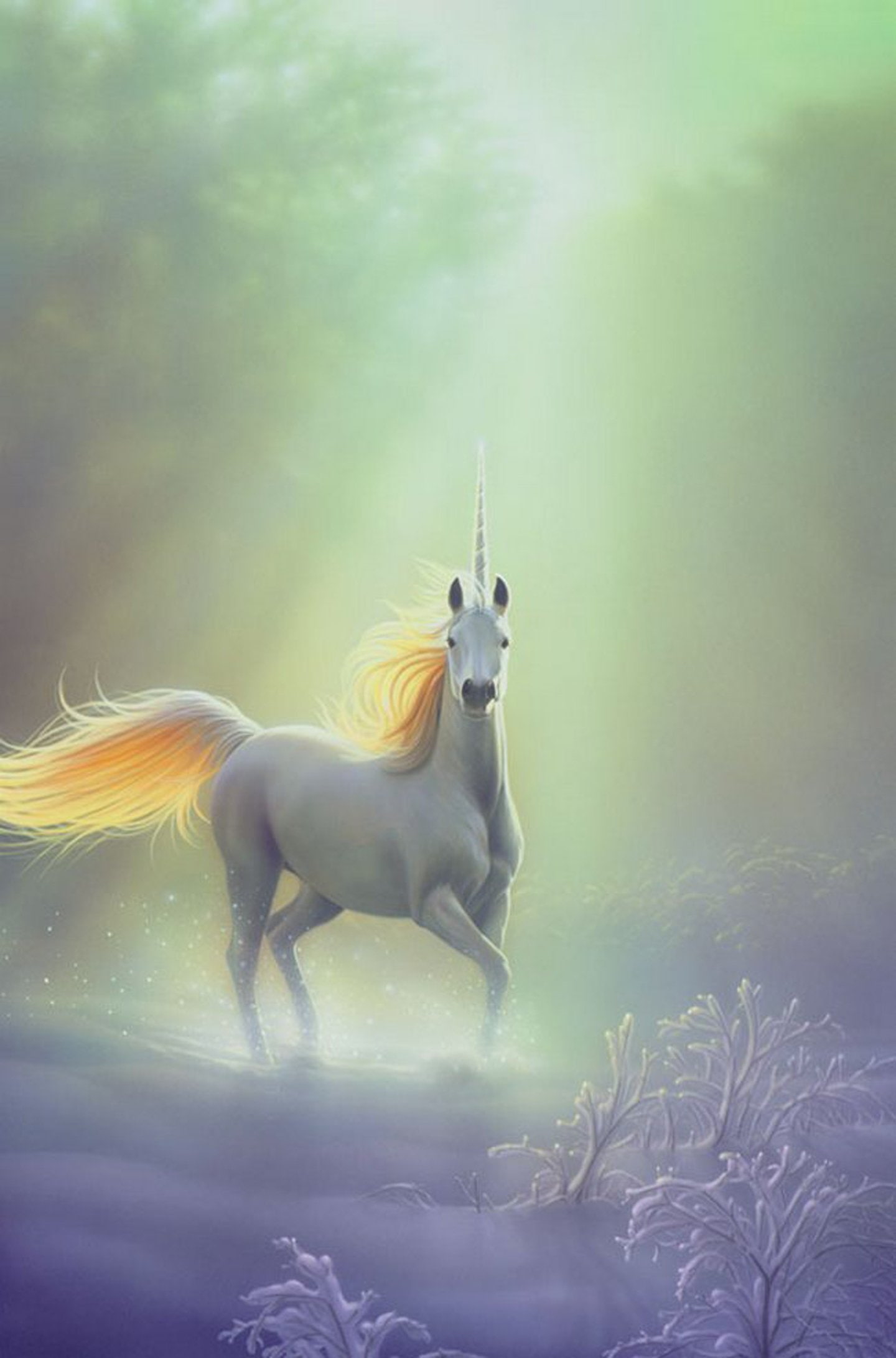 Fantasy Unicorn Wallpapers