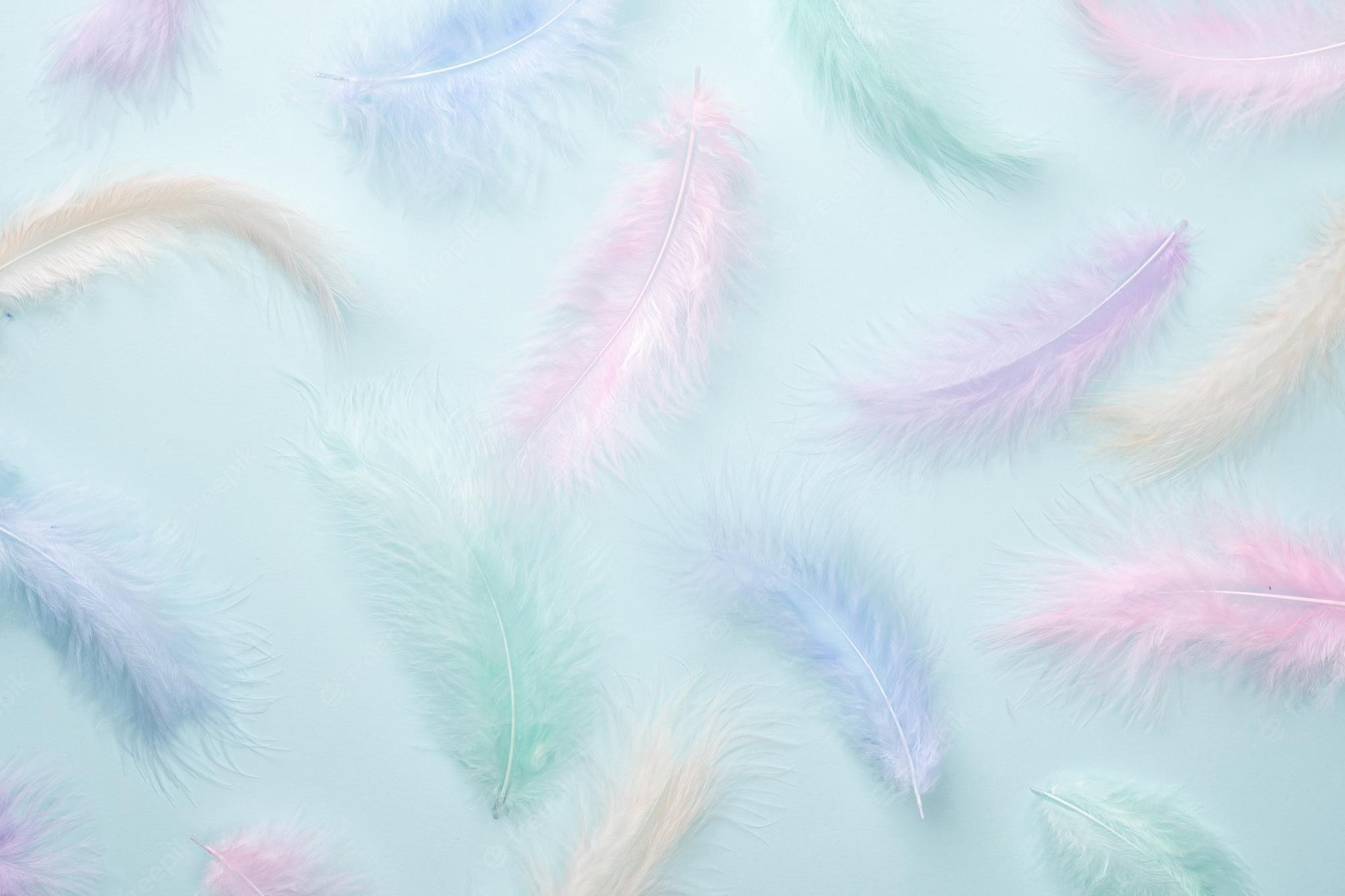 Feather Wallpapers