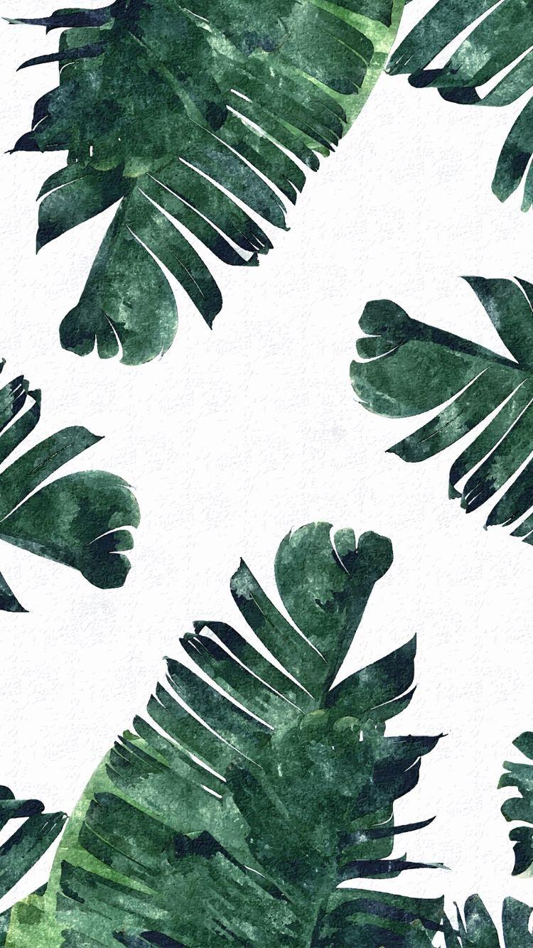 Fern Iphone Wallpapers