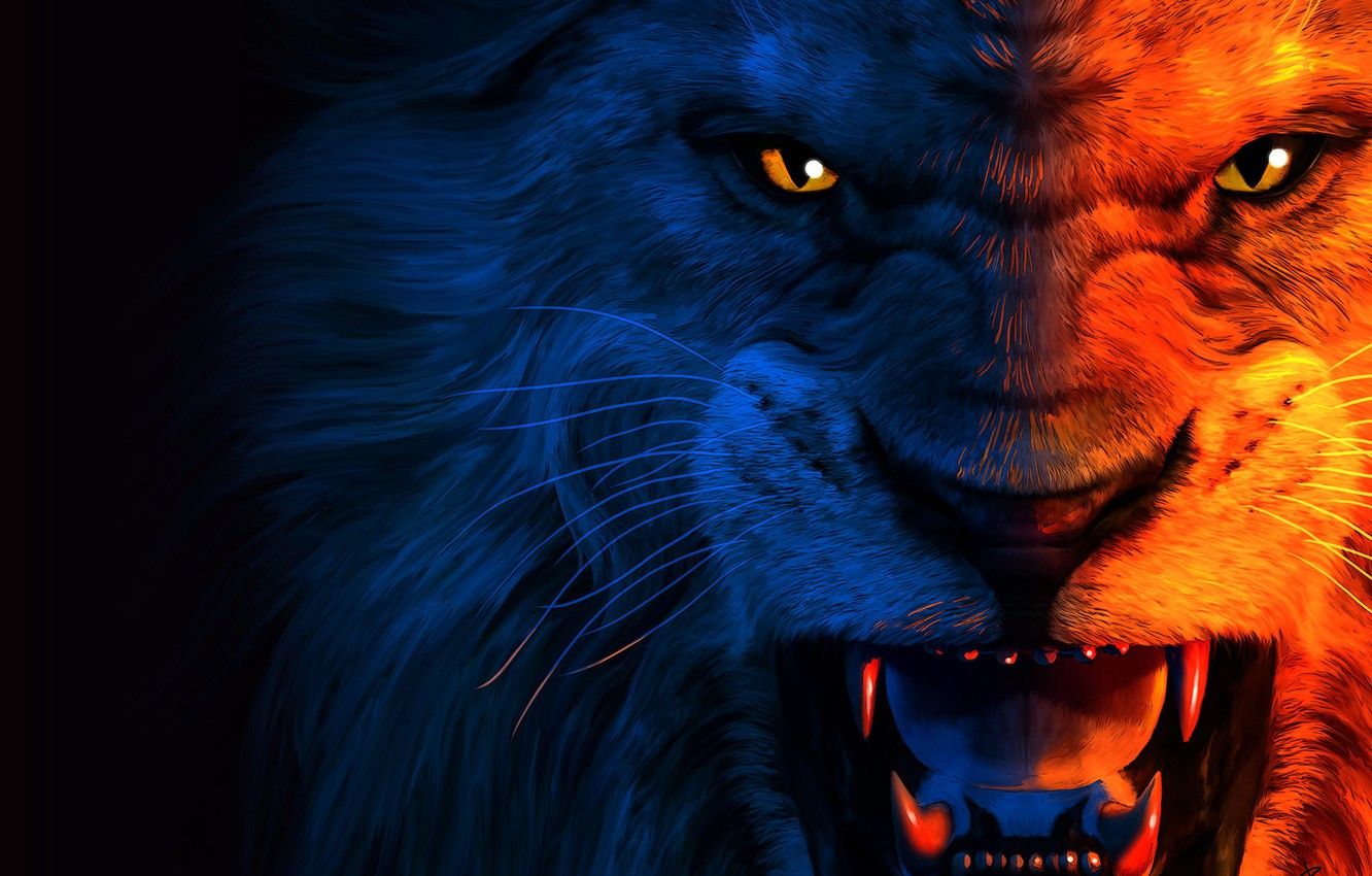 Fierce Lion Wallpapers