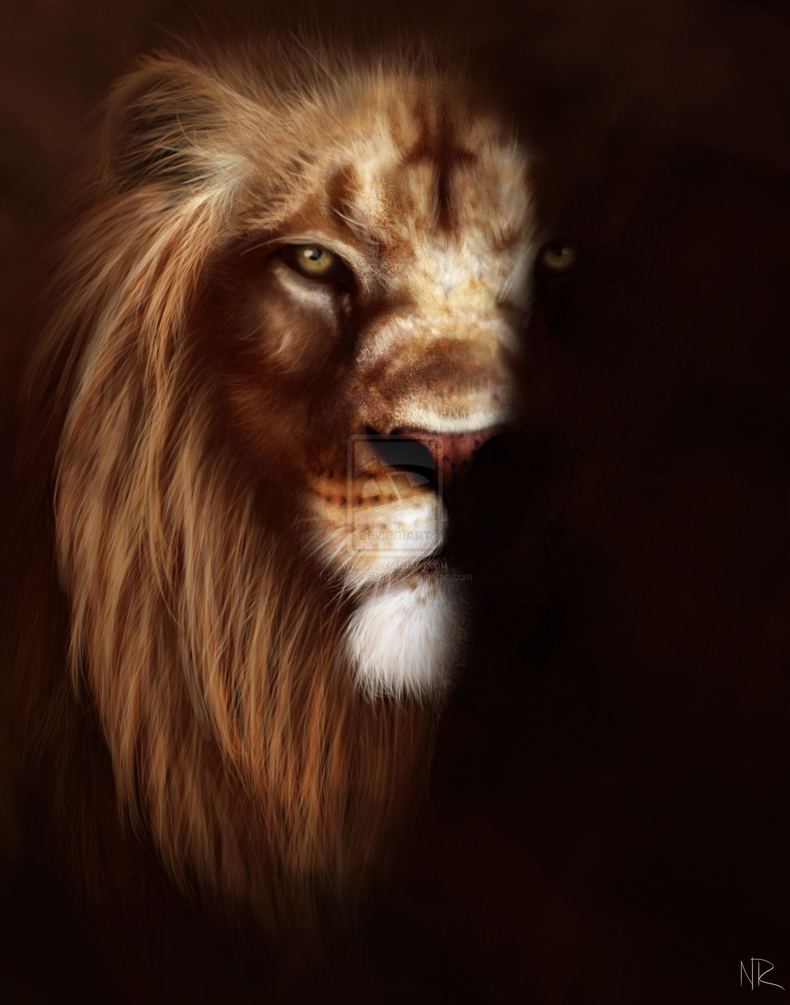 Fierce Lion Wallpapers