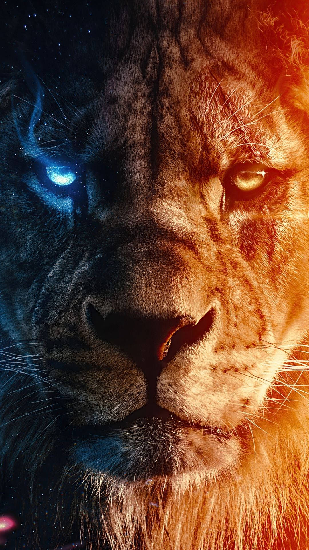 Fierce Lion Wallpapers