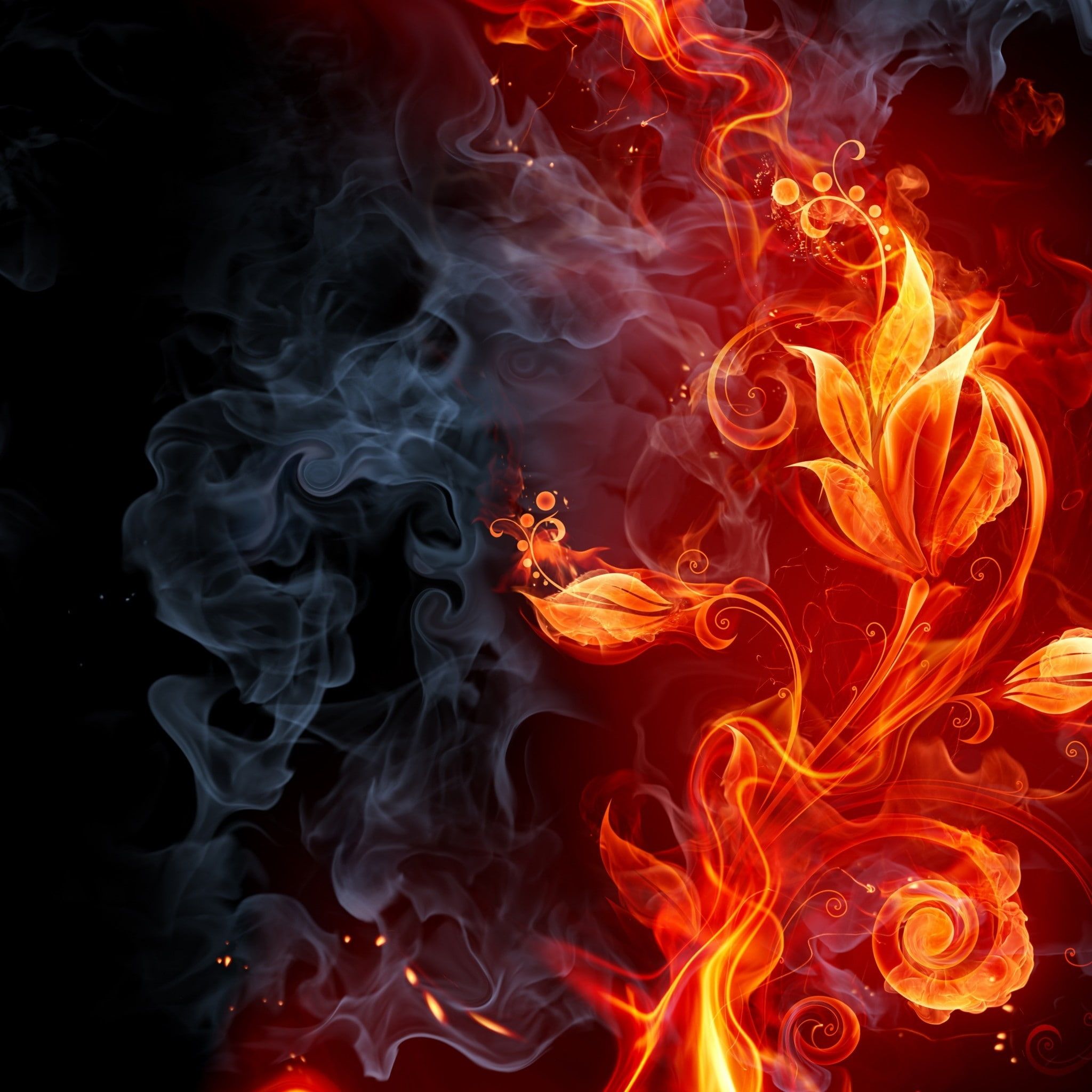 Fire Flower Wallpapers