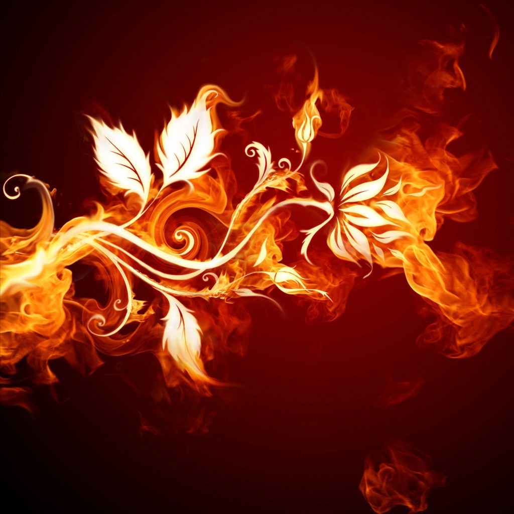 Fire Flower Wallpapers