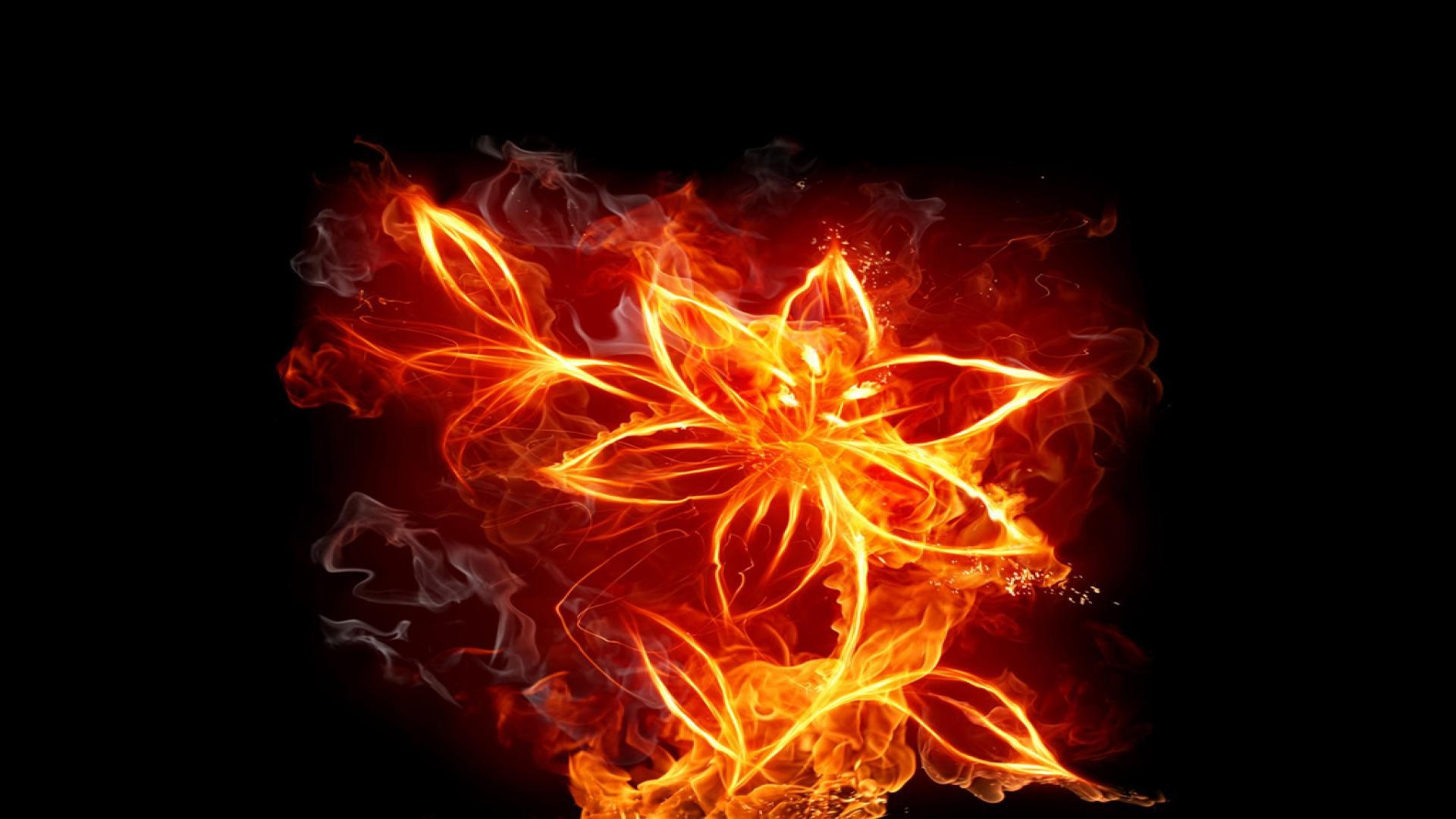 Fire Flower Wallpapers