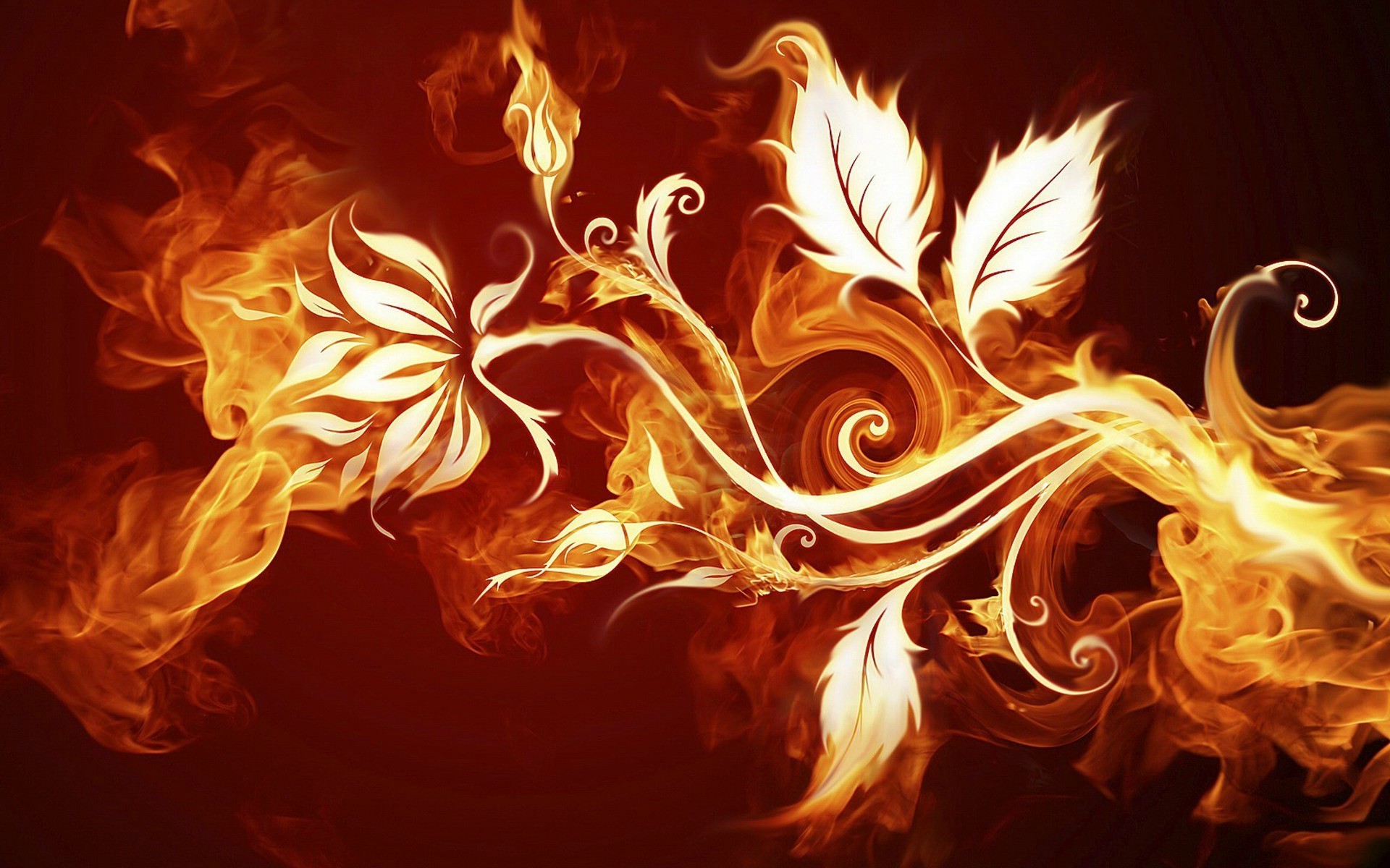 Fire Flower Wallpapers