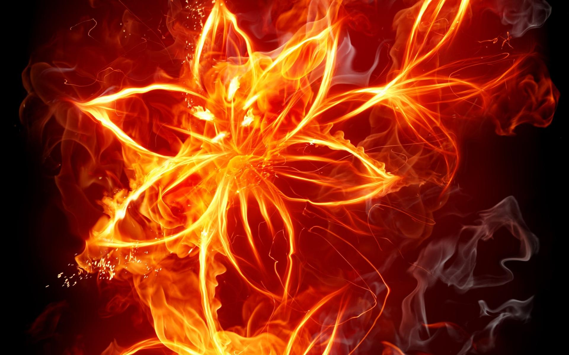 Fire Flower Wallpapers