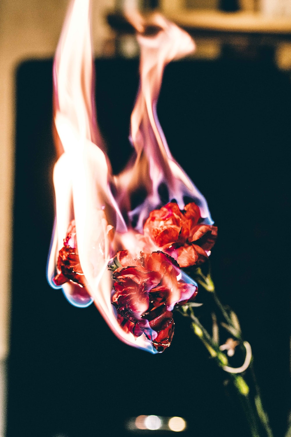 Fire Flower Wallpapers