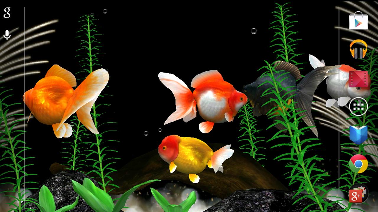 Fish Live Wallpapers