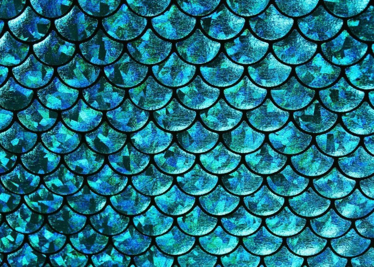 Fish Scale Wallpapers