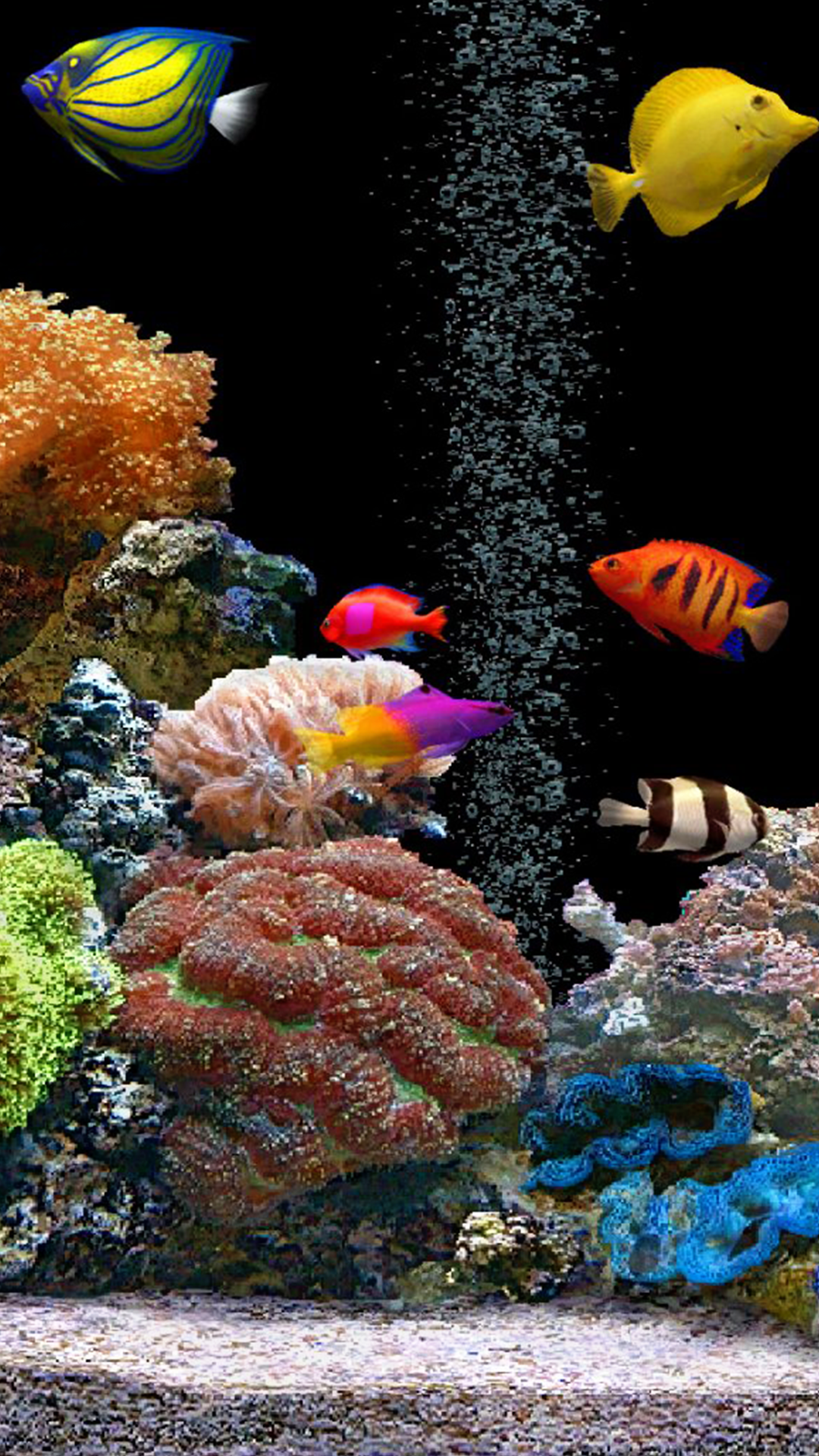 Fish Tank Wallpapers