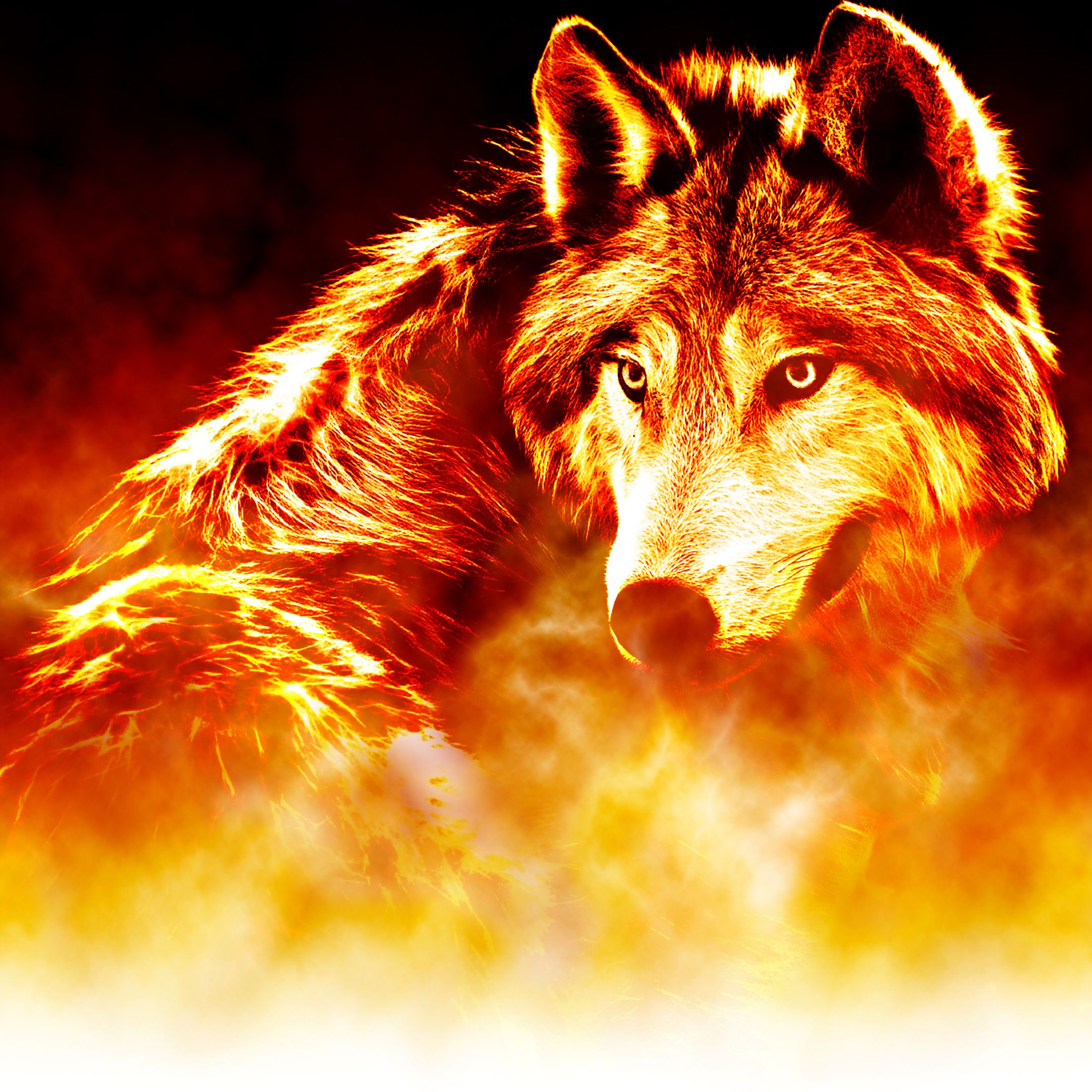 Flaming Wolf Wallpapers