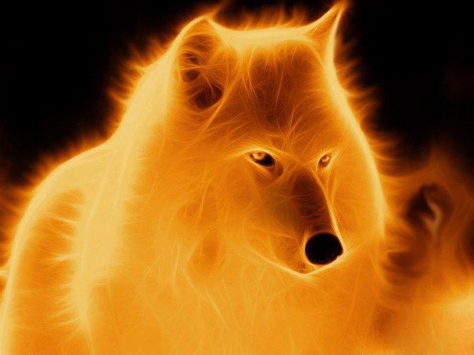 Flaming Wolf Wallpapers