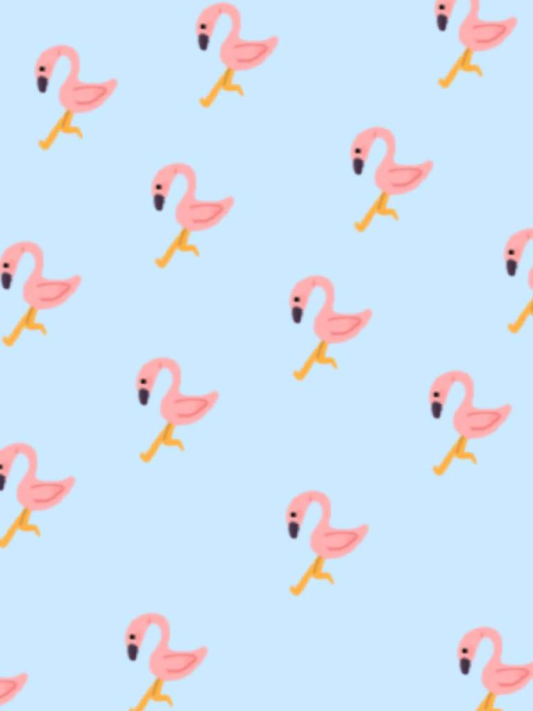 Flamingo Albert Wallpapers