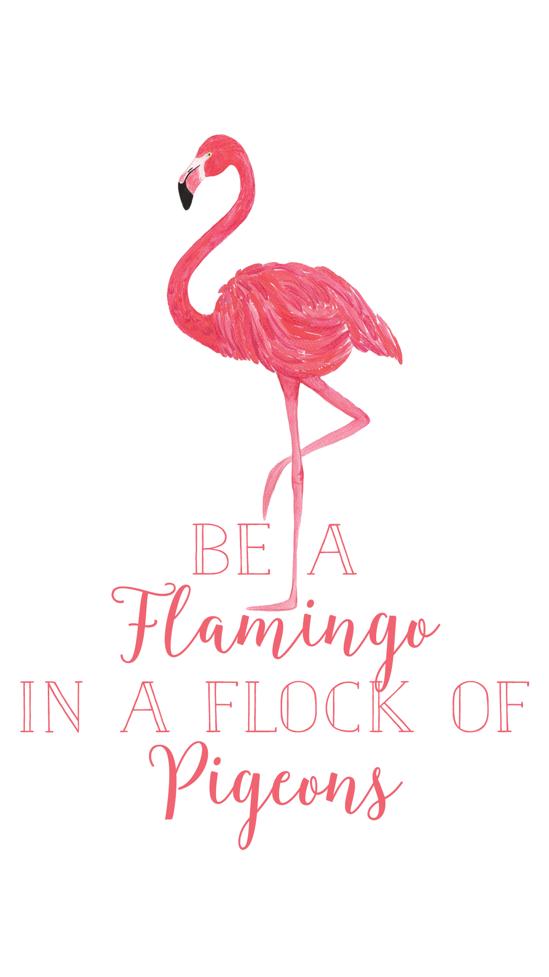 Flamingo Phone Wallpapers