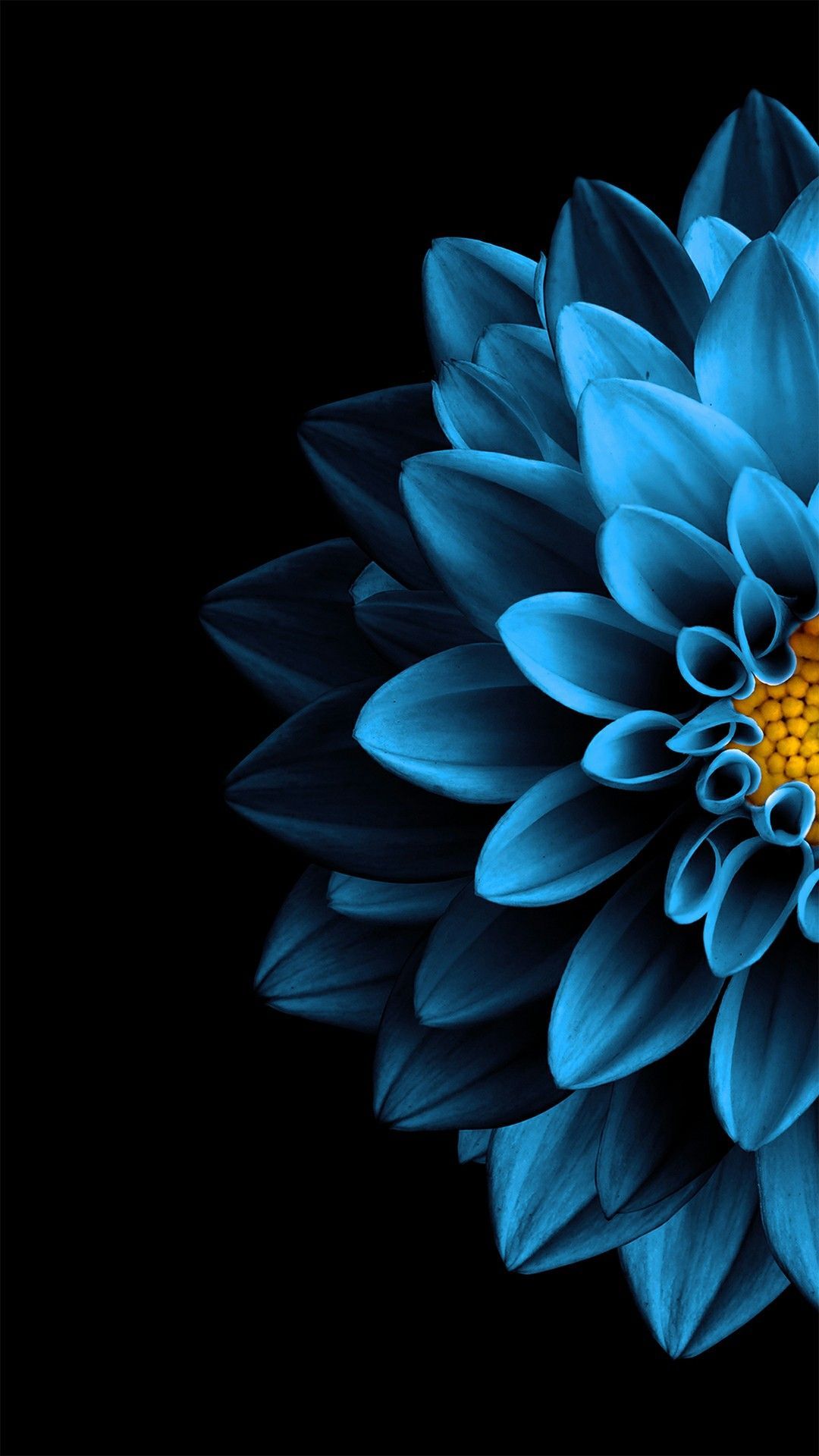 Floral Blue Wallpapers