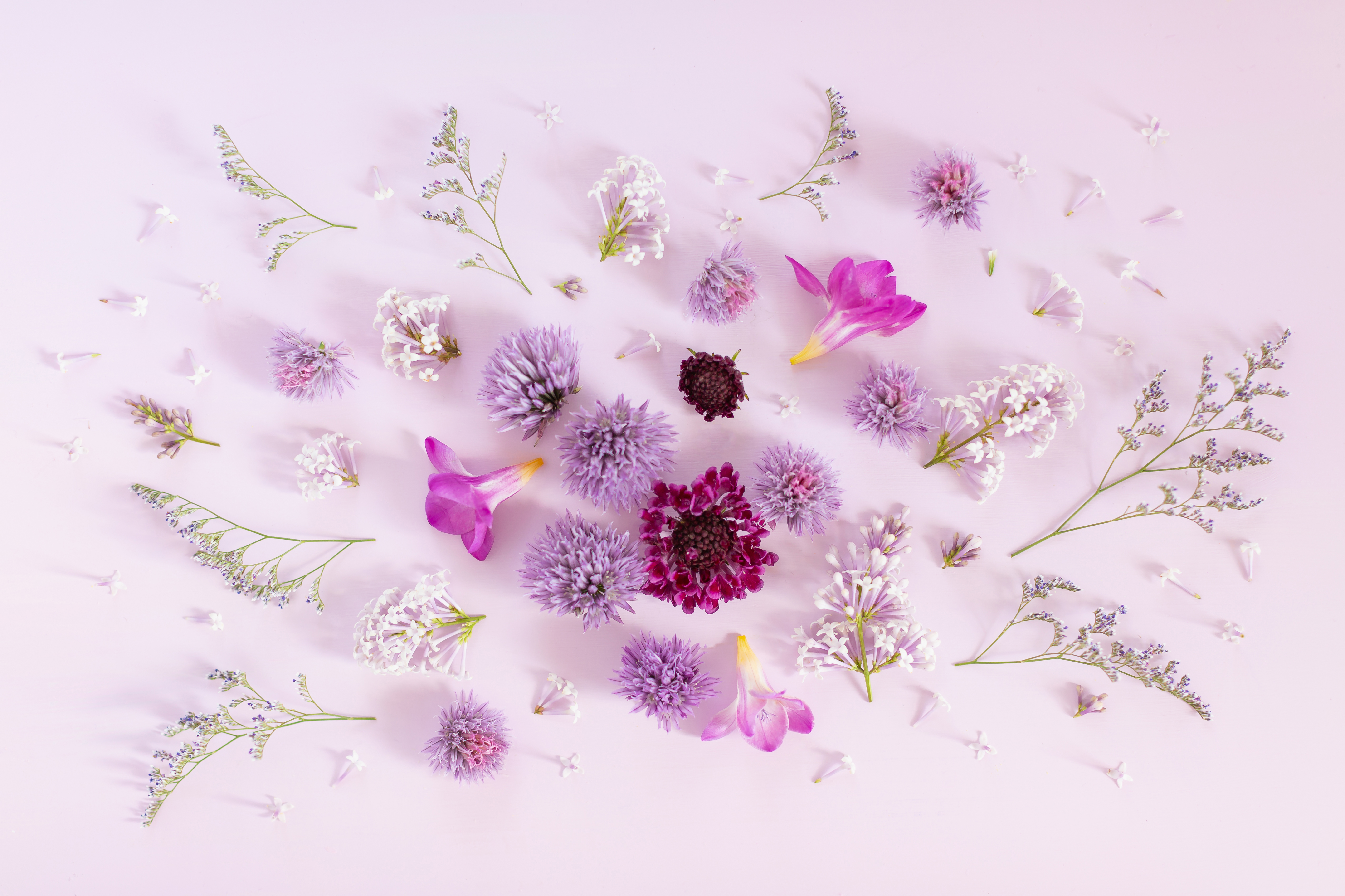 Floral Desktop Wallpapers