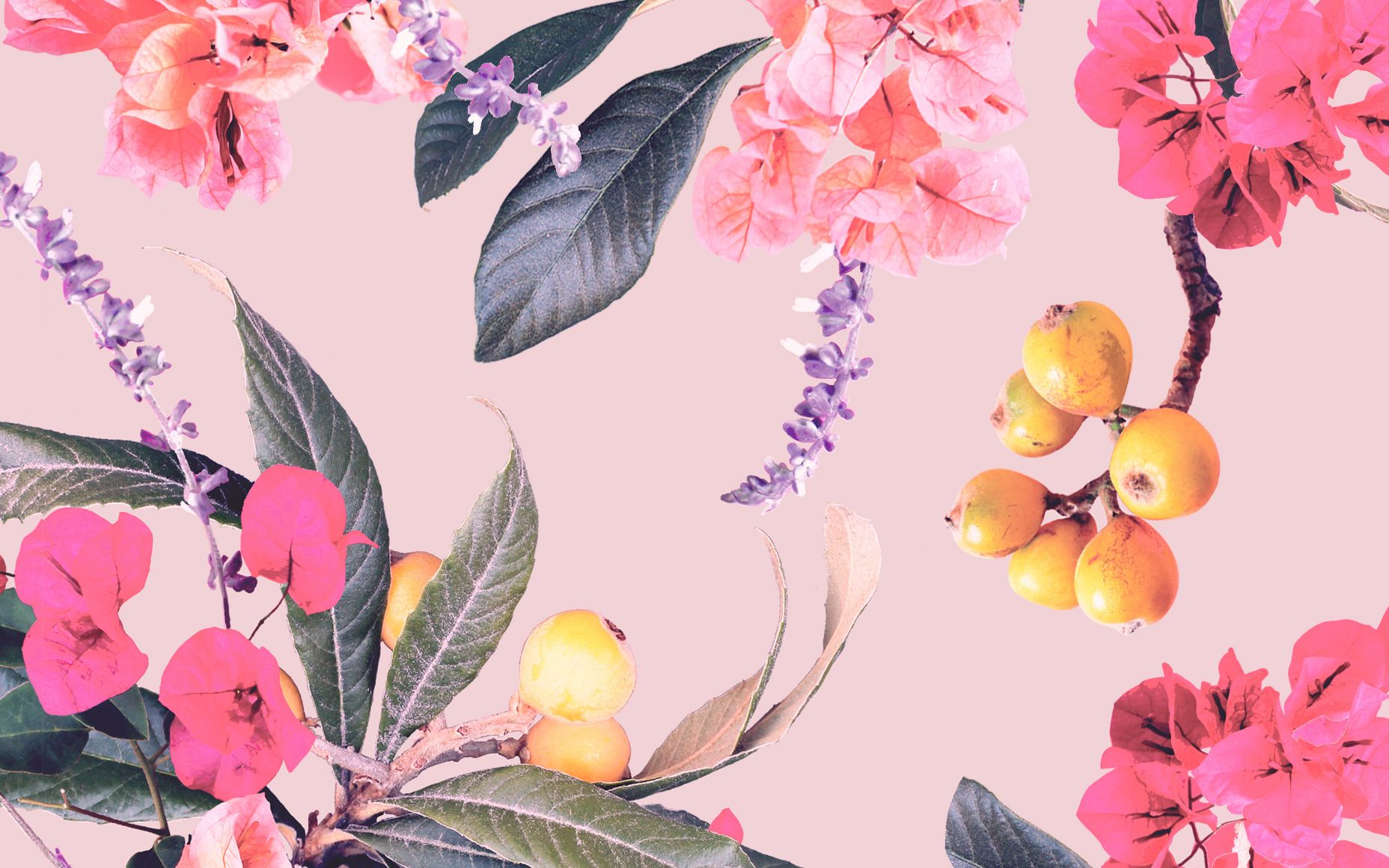 Floral Laptop Wallpapers