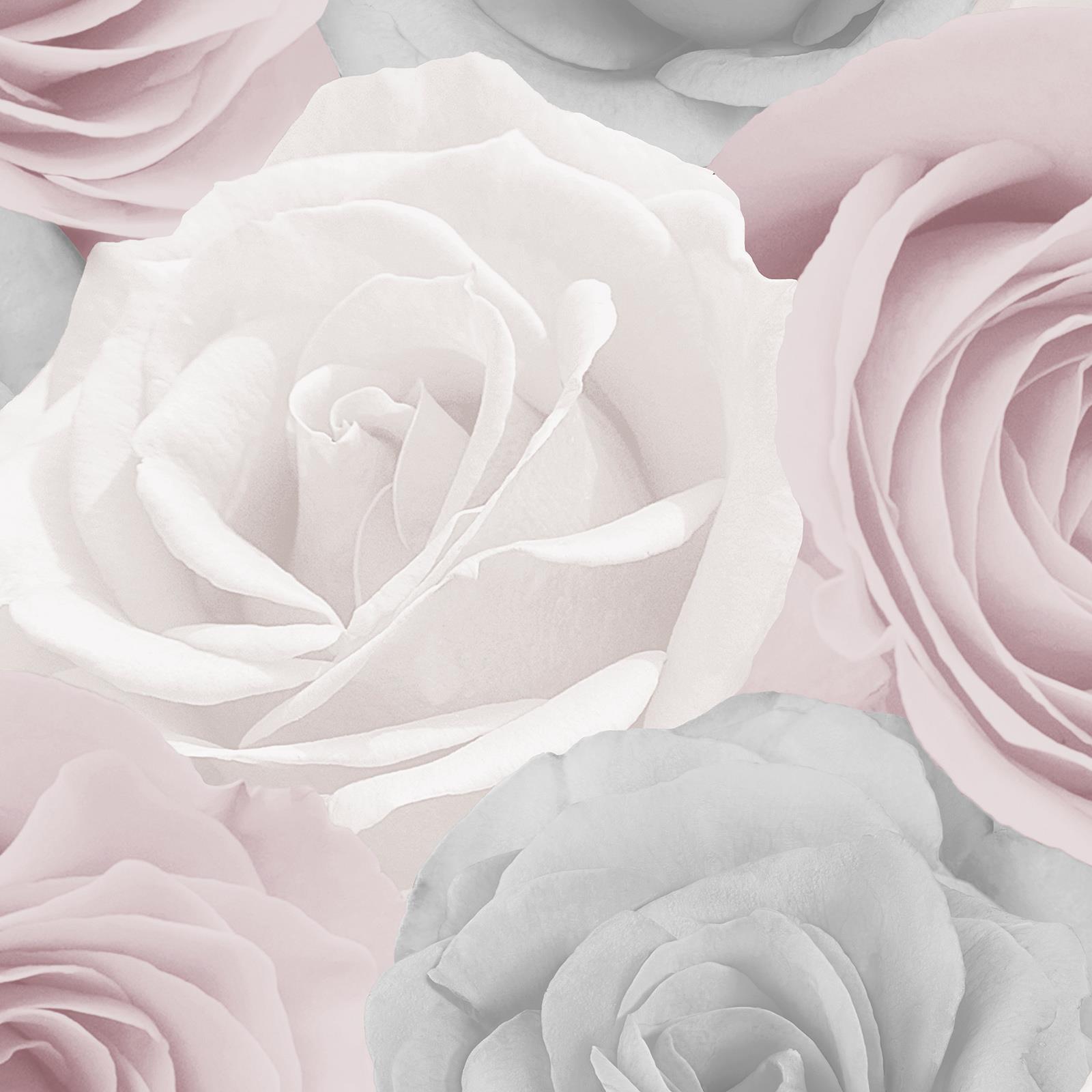 Floral Rose Wallpapers