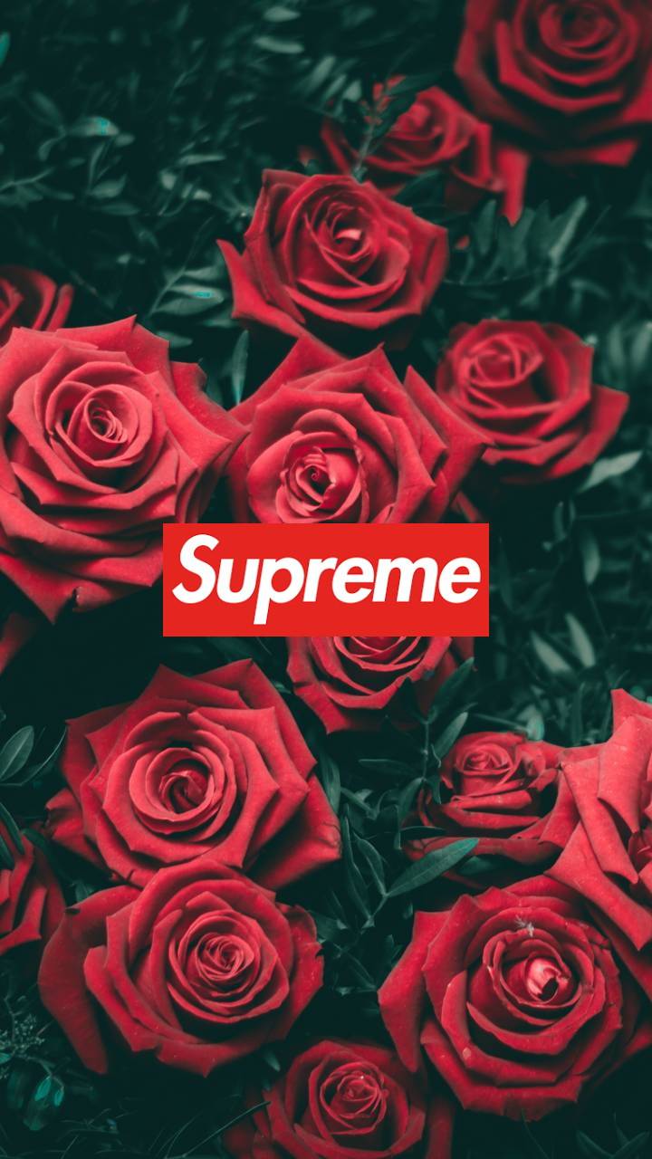 Floral Supreme Wallpapers