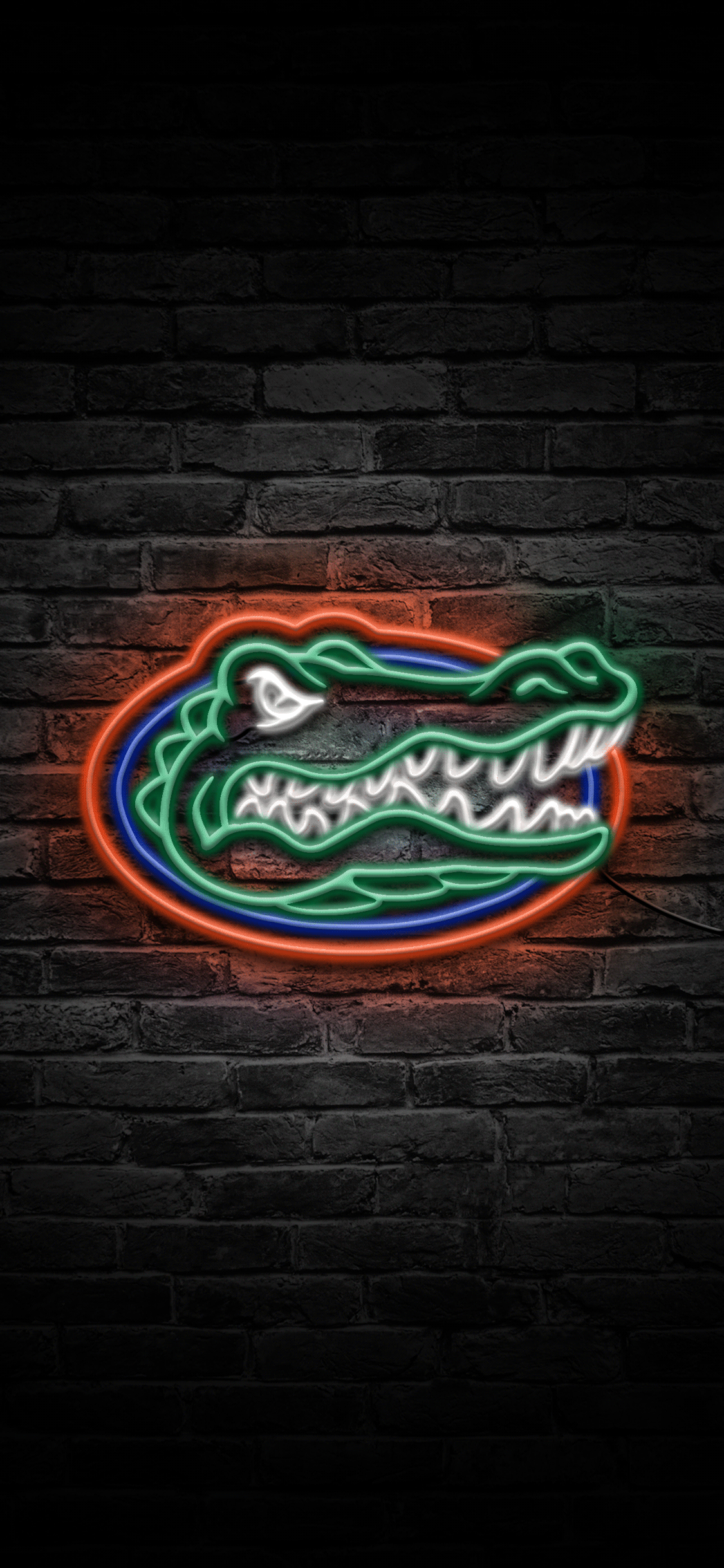 Florida Gators Iphone Wallpapers