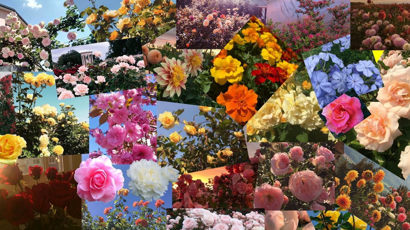 Flower Collage Wallpapers