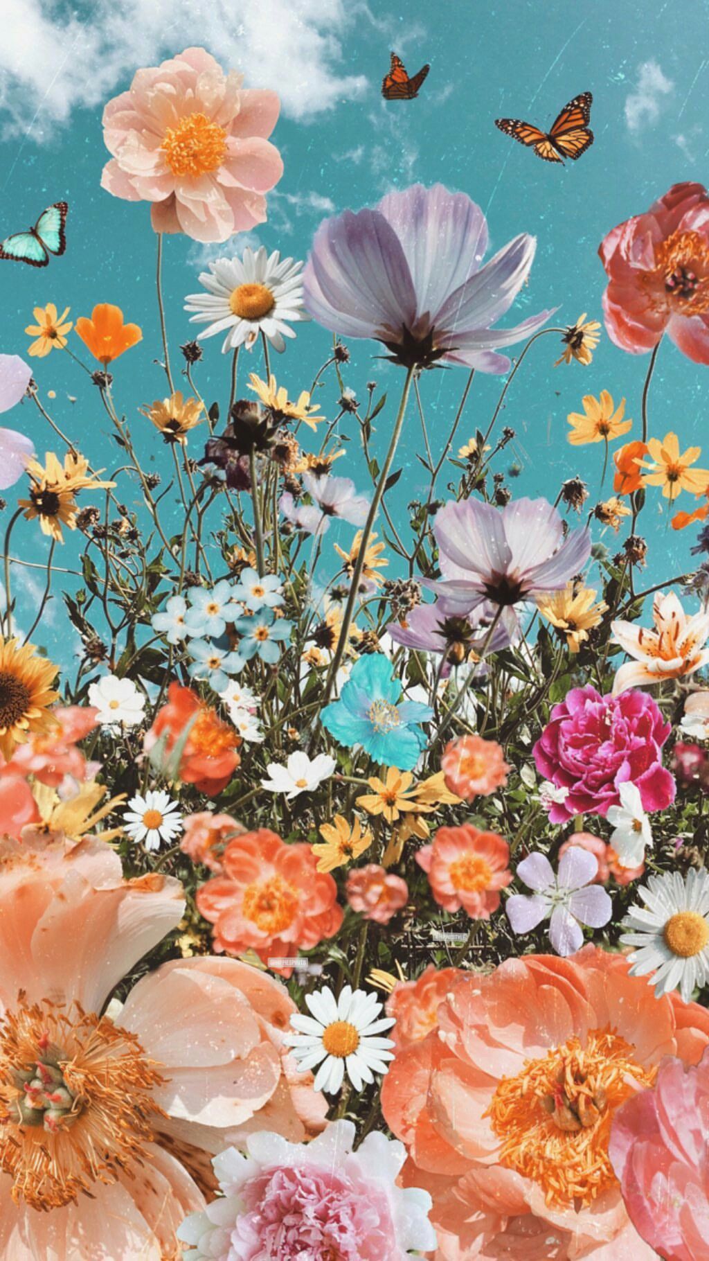 Flower Collage Wallpapers