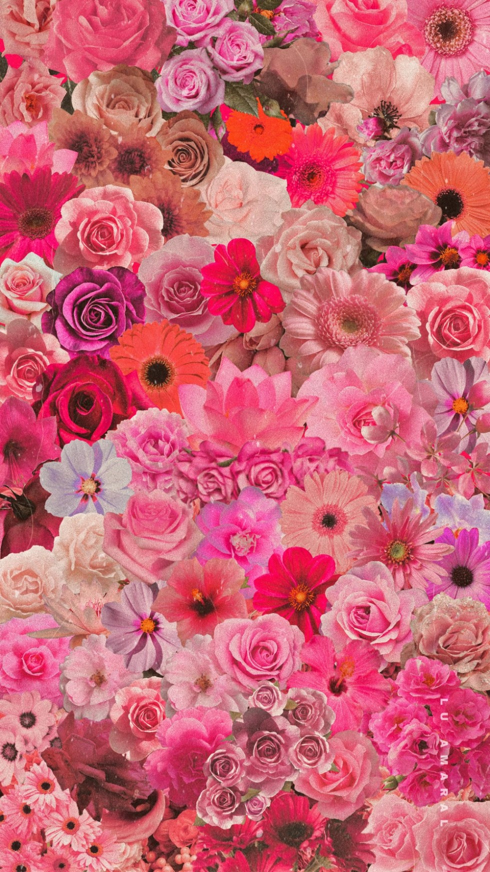 Flower Collage Wallpapers