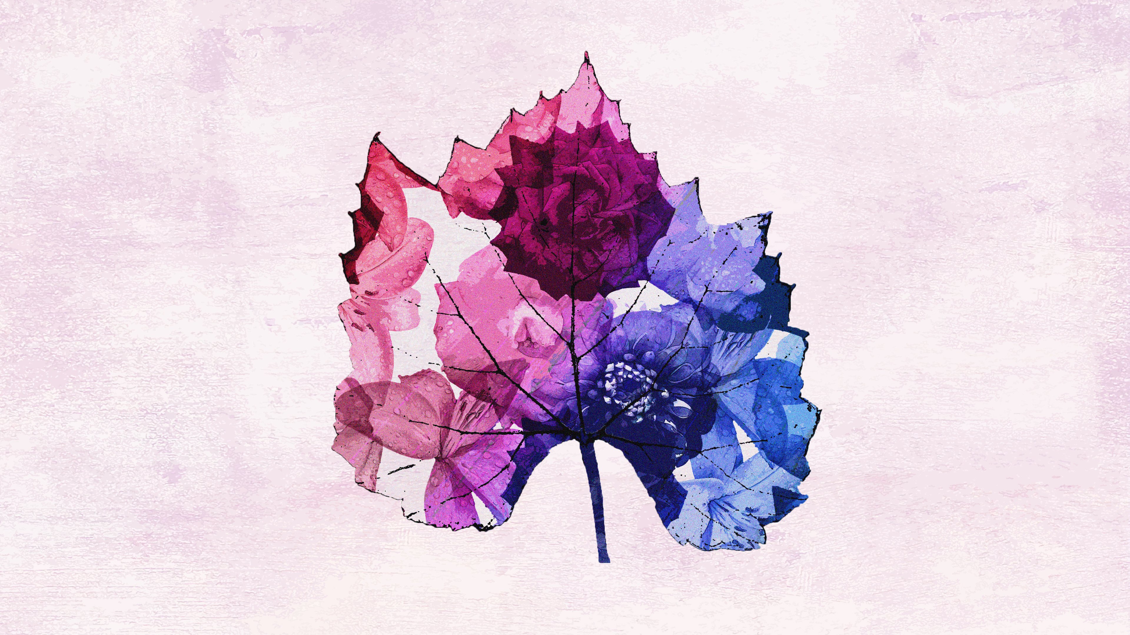 Flower Collage Wallpapers