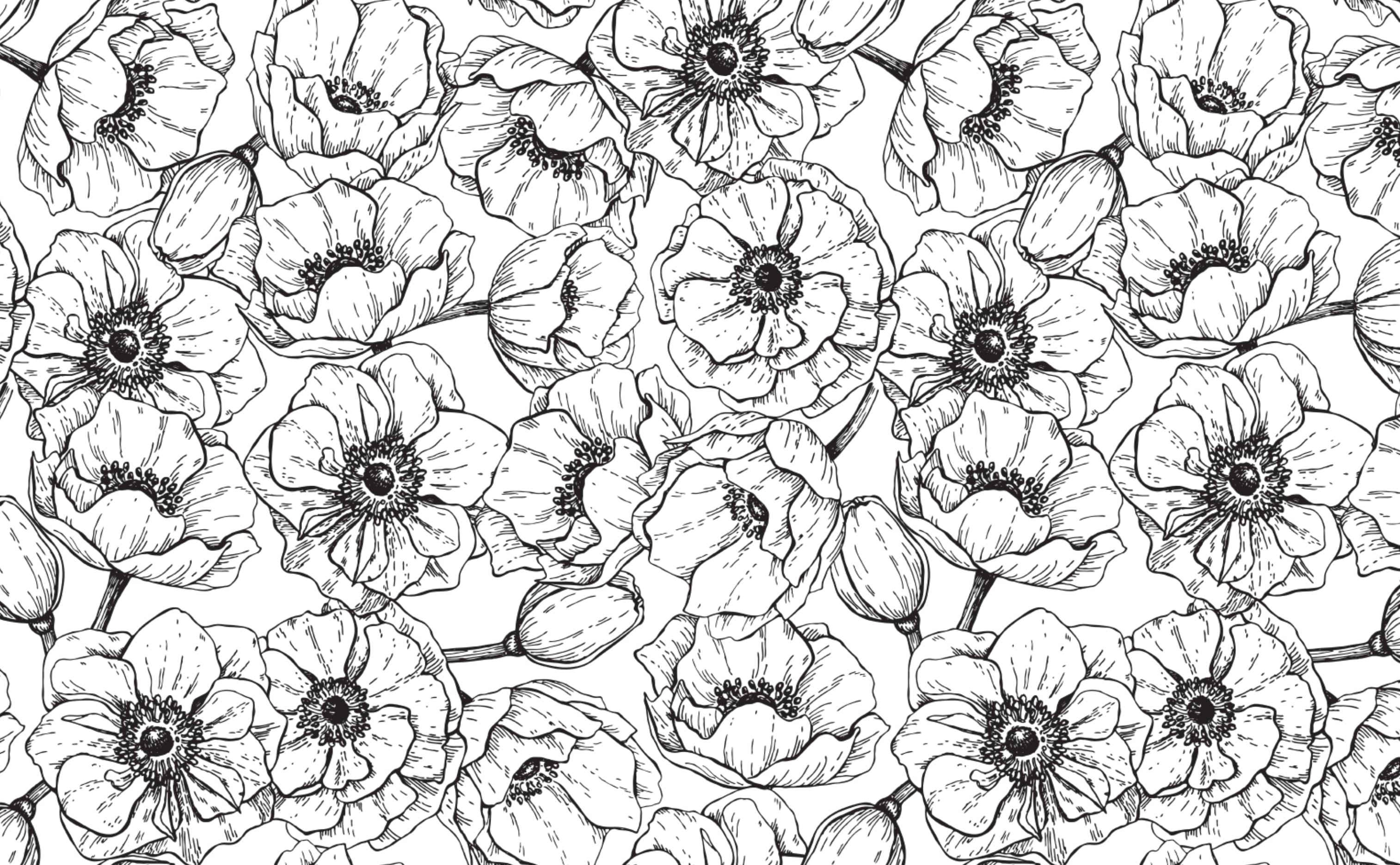 Flowers Gray Wallpapers