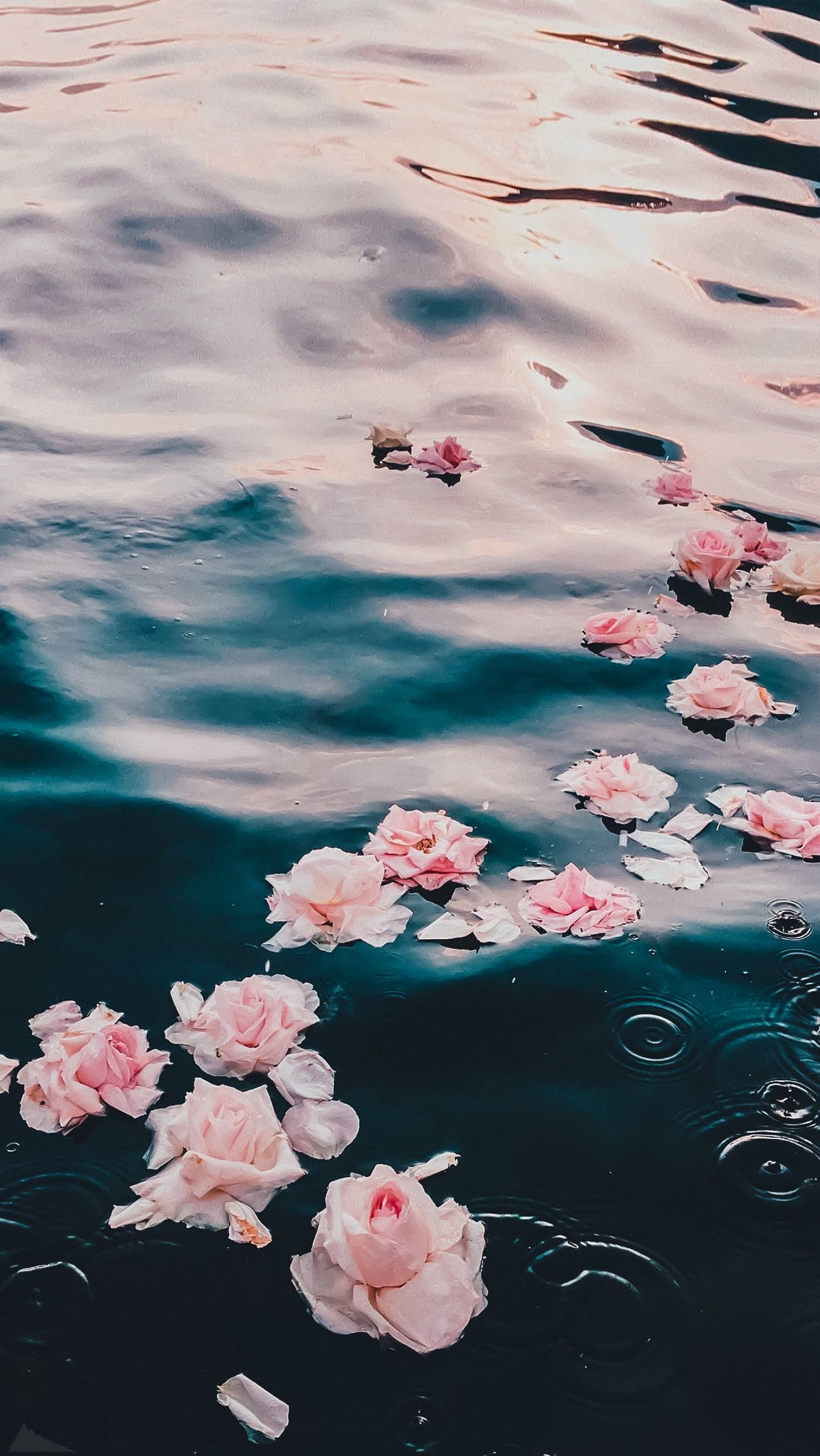 Flowers In Water Aesthetic Wallpapers