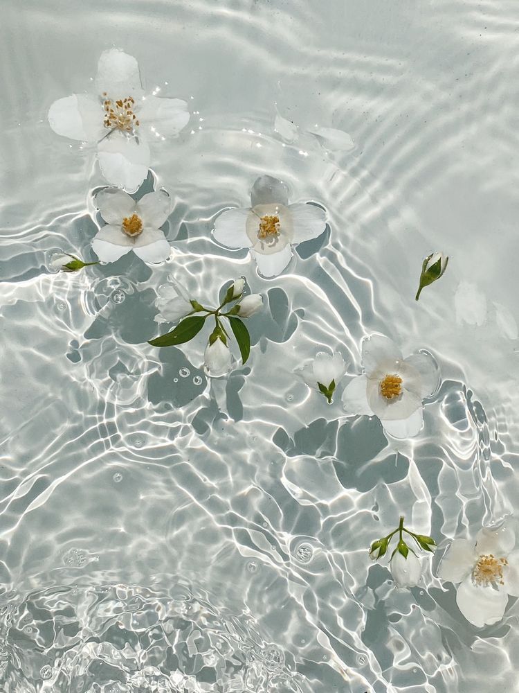 Flowers In Water Aesthetic Wallpapers