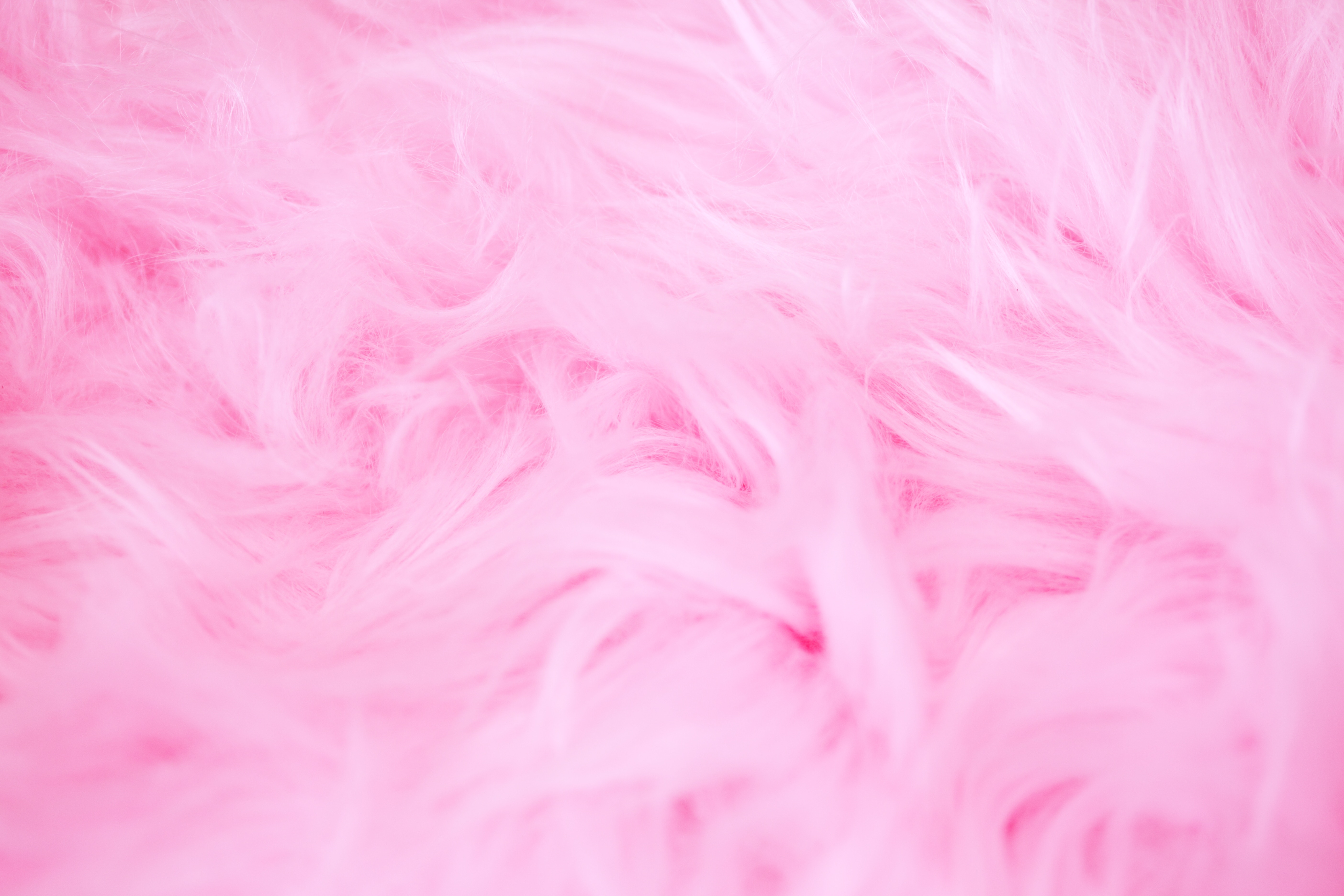 Fluffy Wallpapers