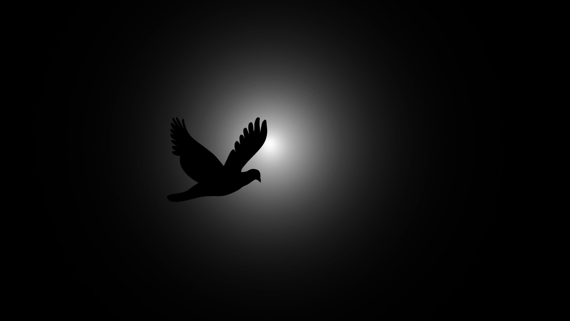 Flying Birds Wallpapers